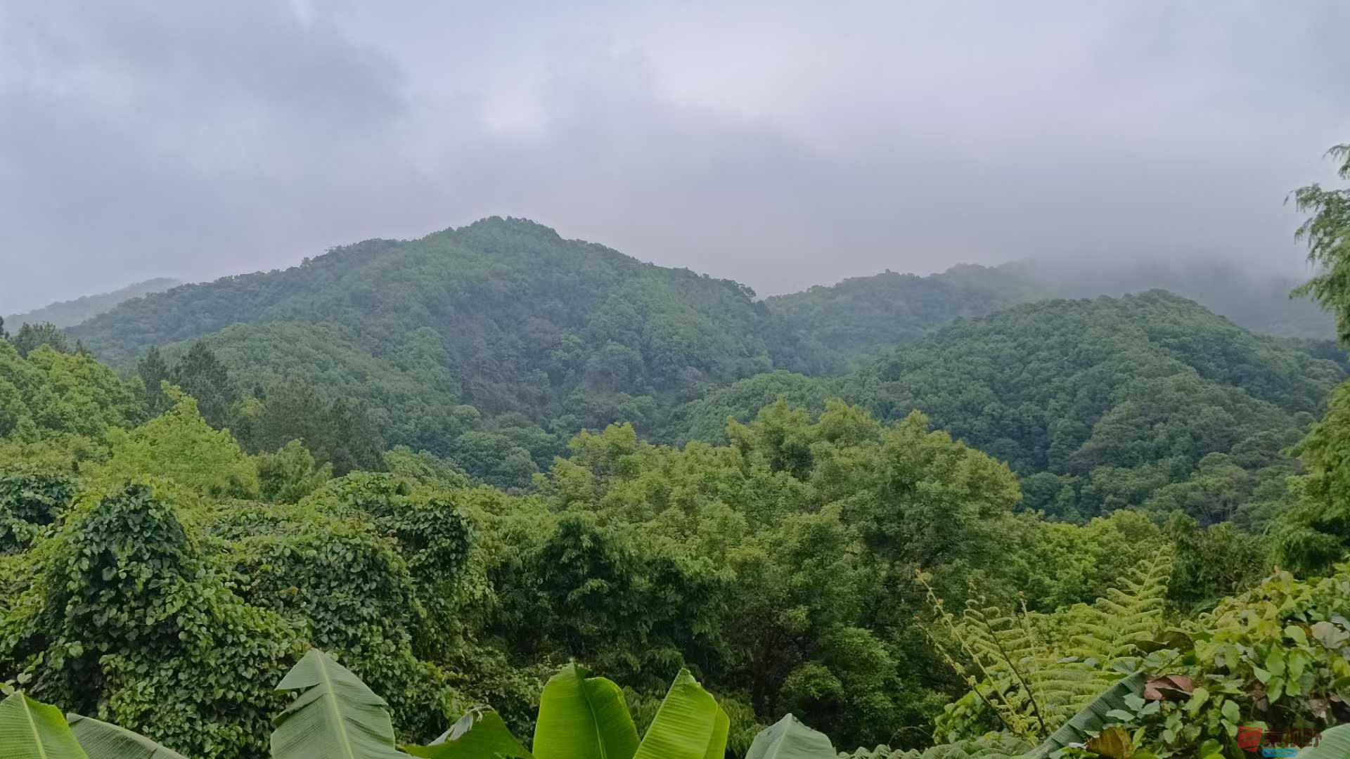 石鹏高_20250309121203 (2).jpg