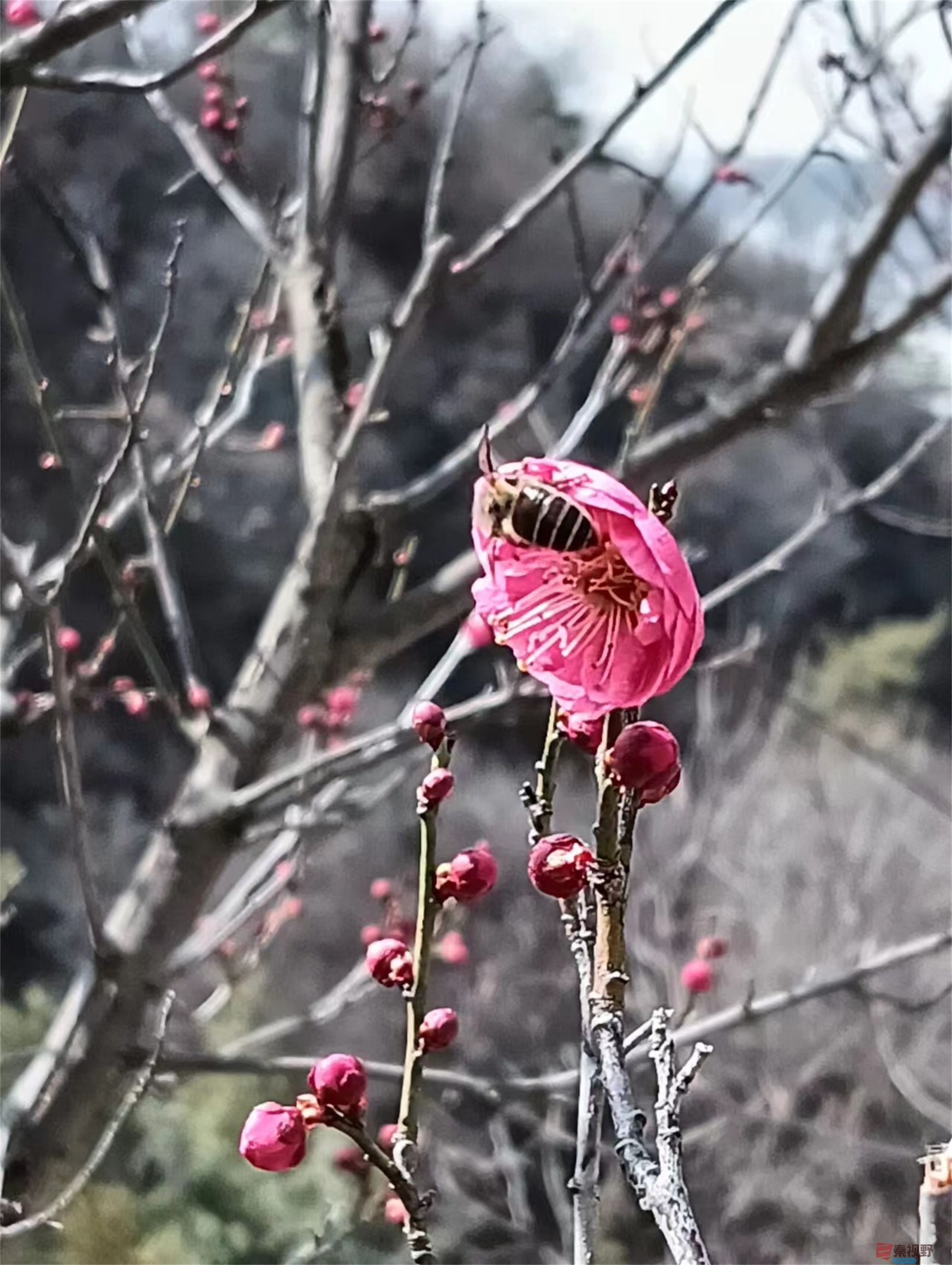 张宝光_20250310074706 (1).jpg