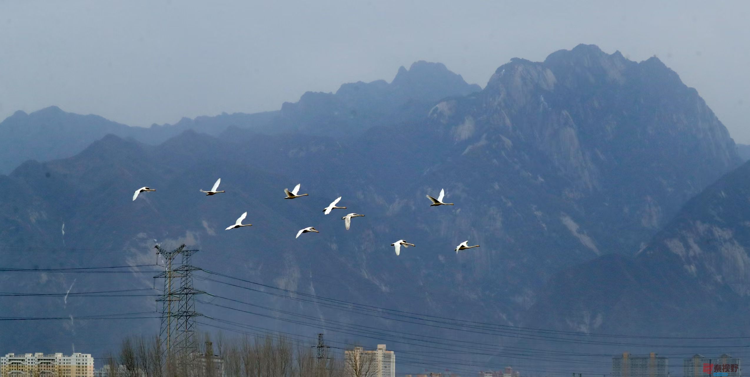 李雪平_20250304213738 (2).jpg