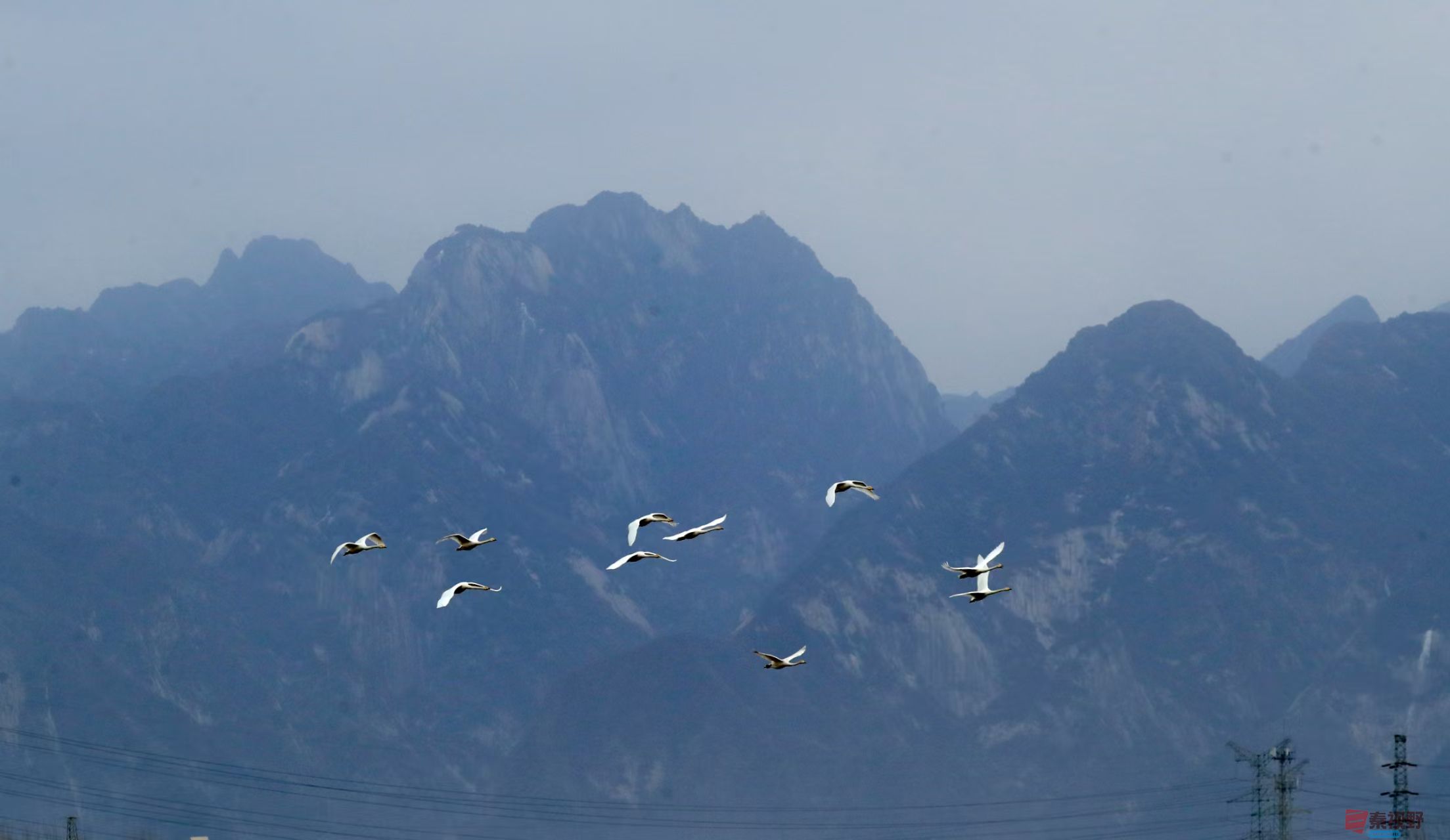 李雪平_20250304213738 (3).jpg