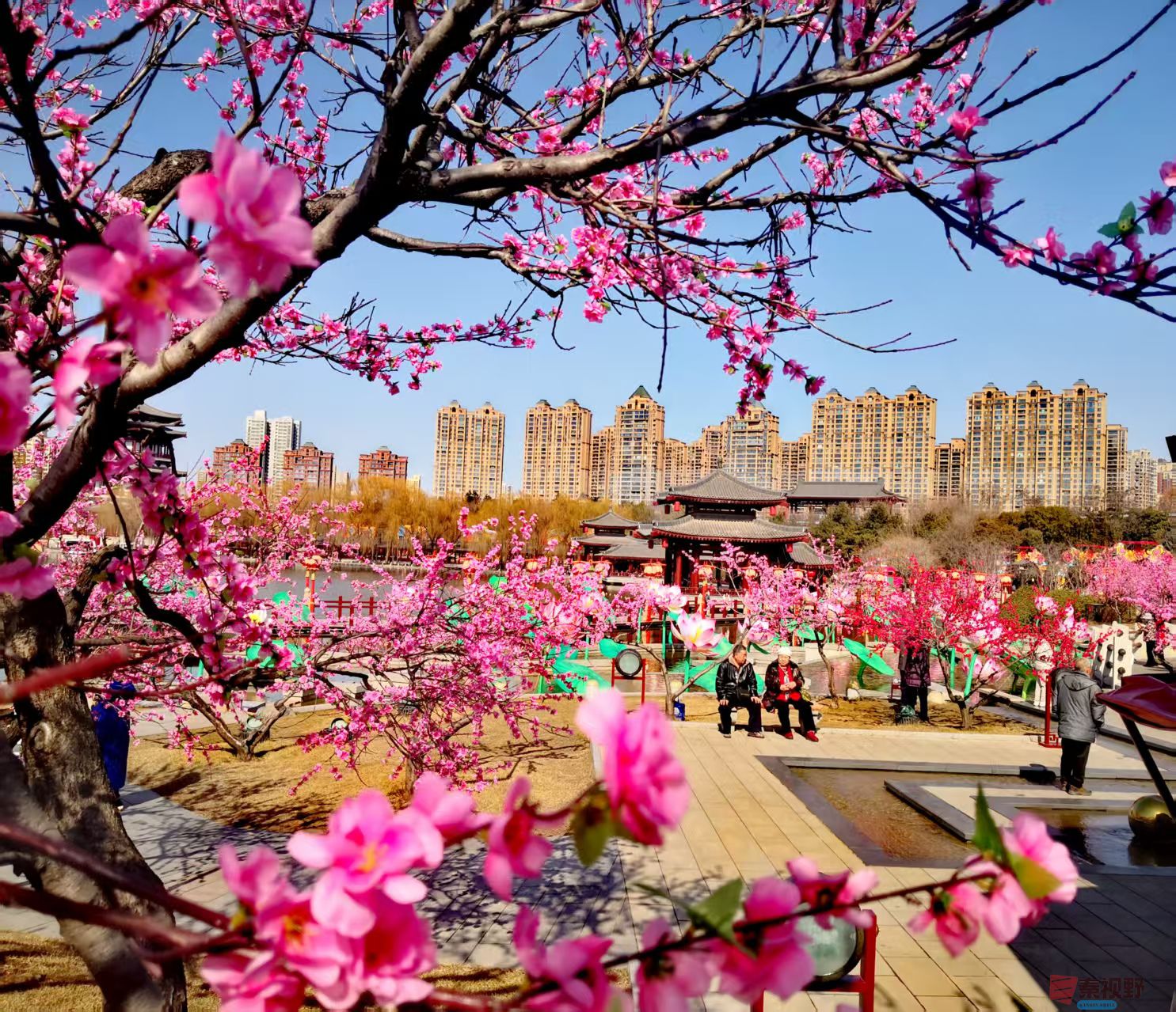 李雪平_20250304214938 (1).jpg