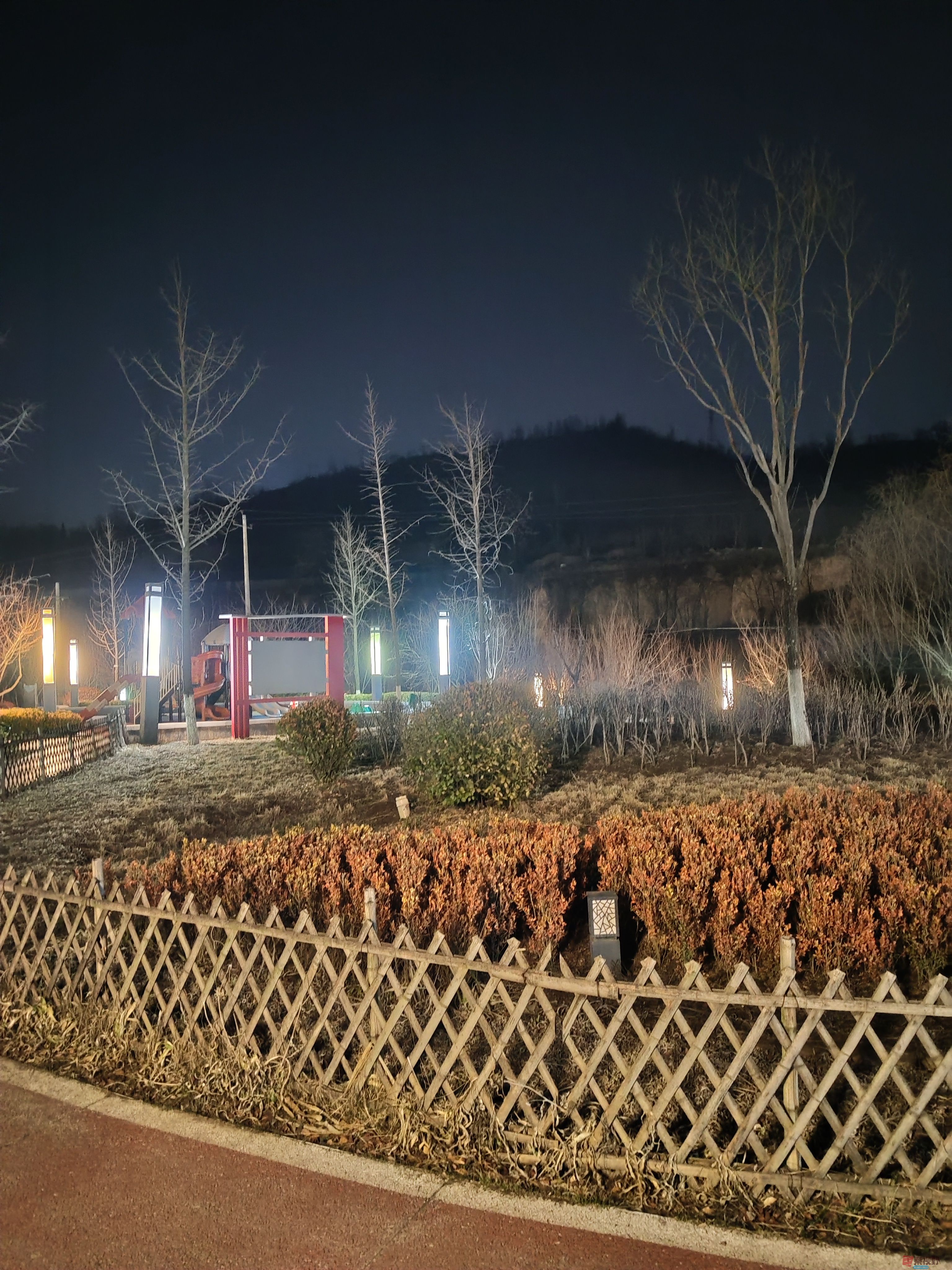 春日夜色下的铜川王家河湿地公园（3）【手机摄影周春辉】
