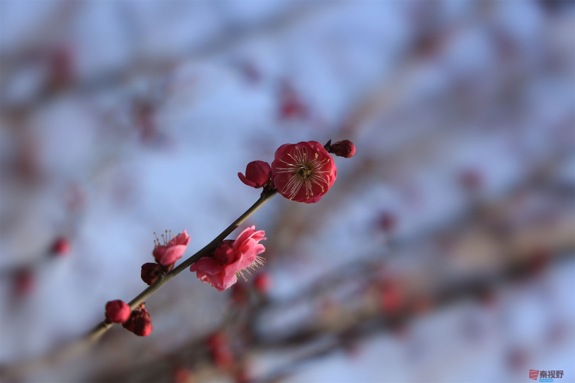 本色沐歌（压缩）_20250313104814 (47).jpg