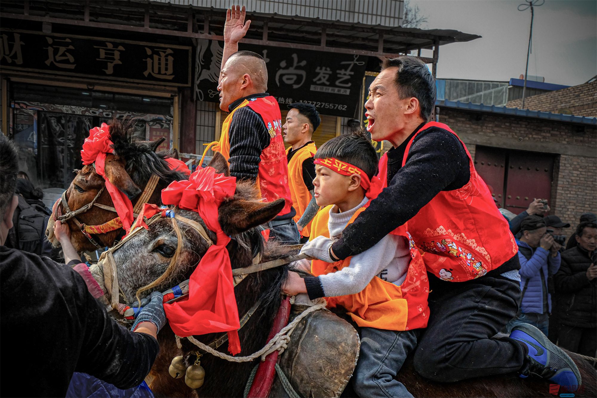 本色沐歌_20250313141736 (2).jpg