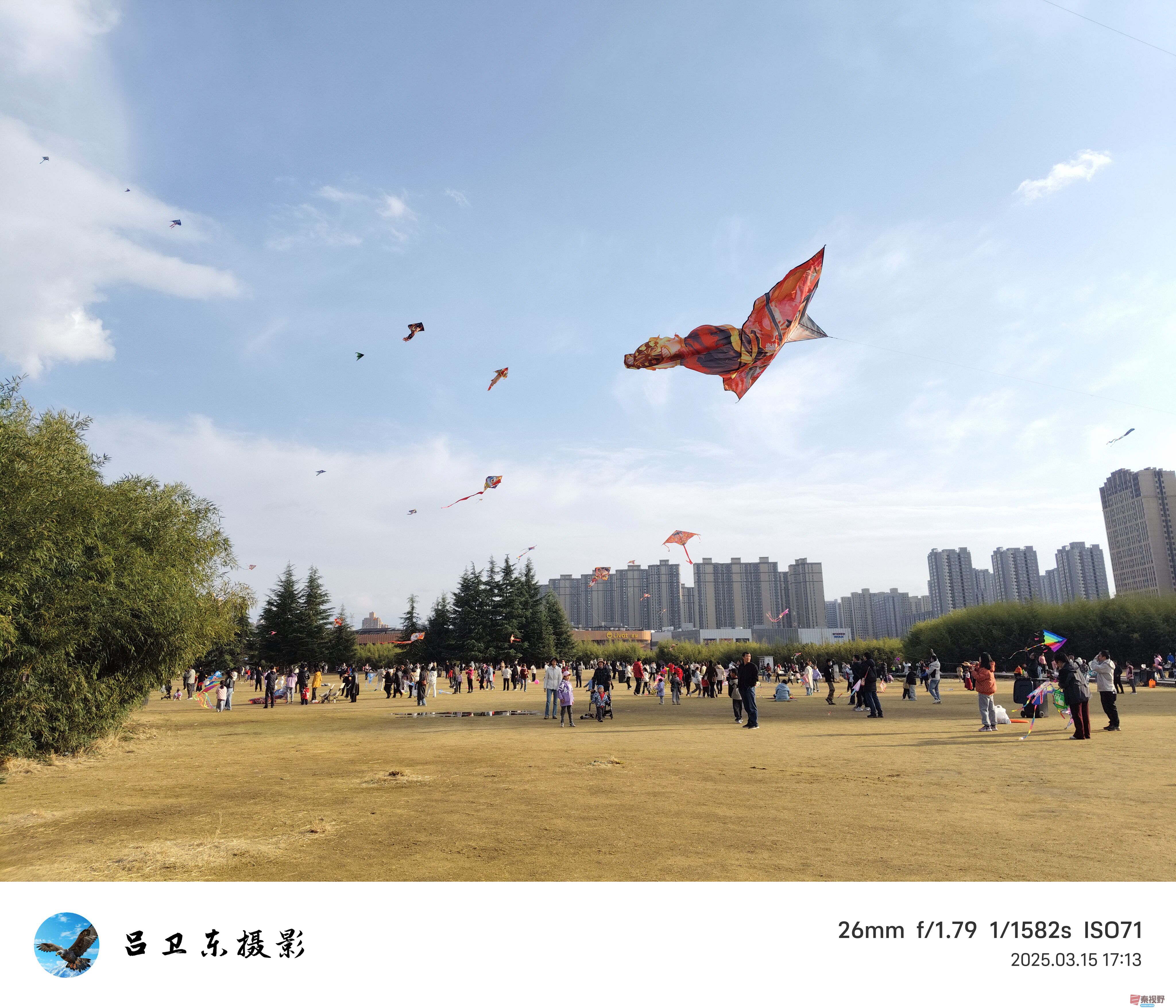 放飞梦想  拥抱蓝天【摄影吕卫东】