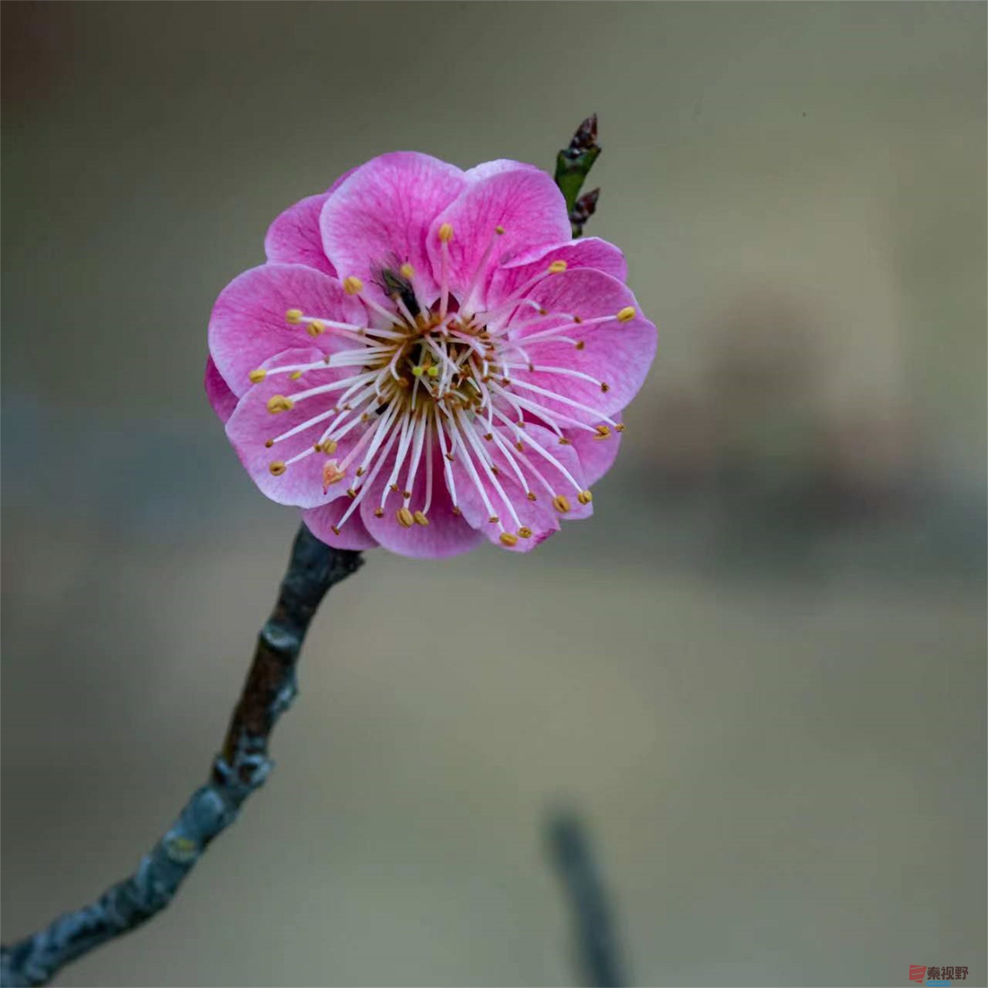 张宝光（压缩）_20250313104814 (54).jpg