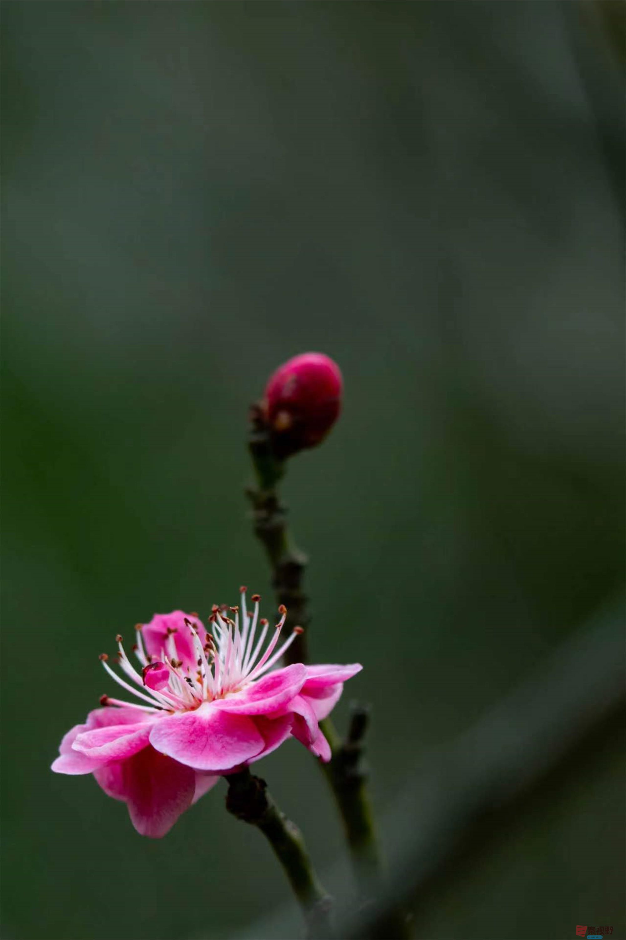 张宝光（压缩）_20250313104814 (58).jpg