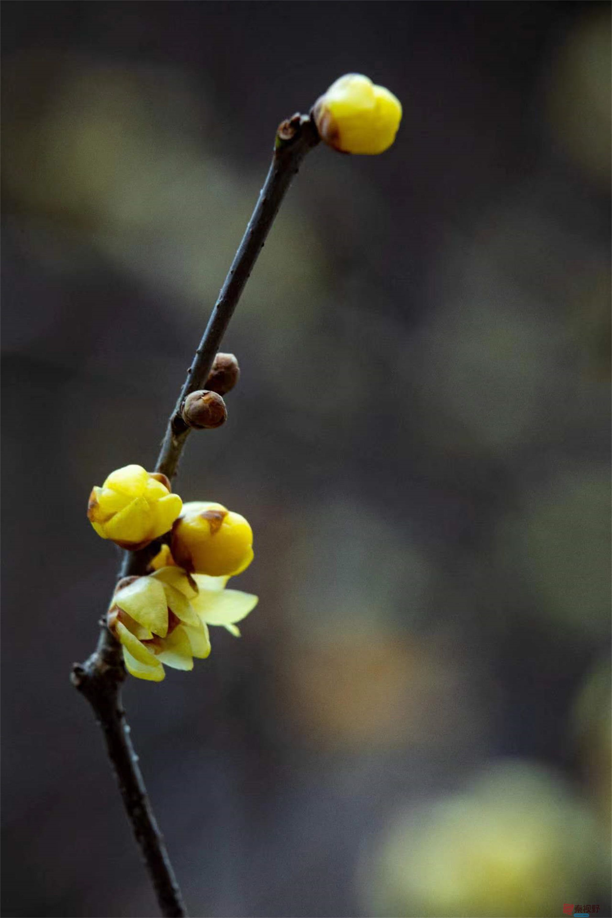 张宝光（压缩）_20250313104814 (59).jpg