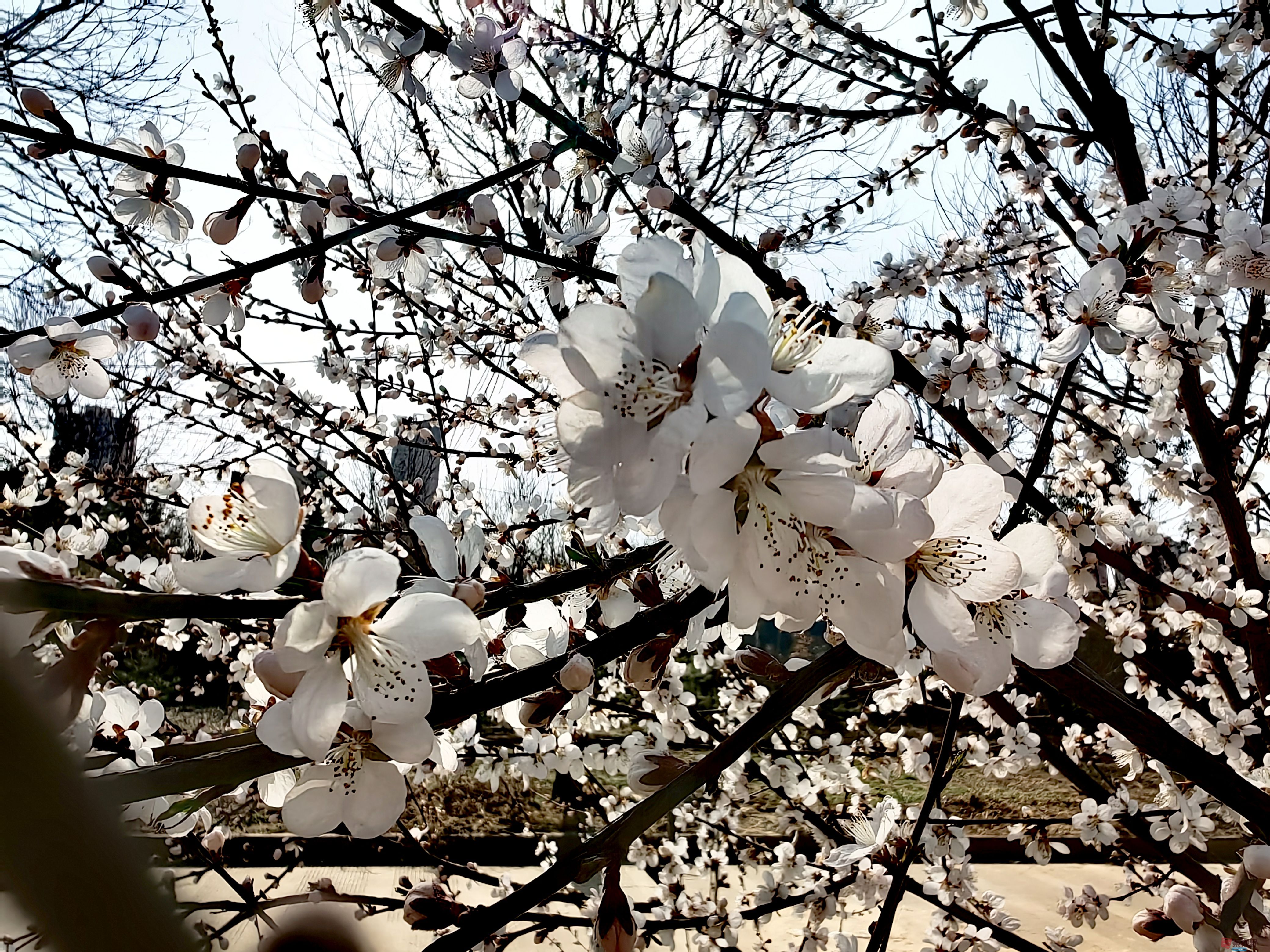 刘孝文_20250321123642 (8).jpg