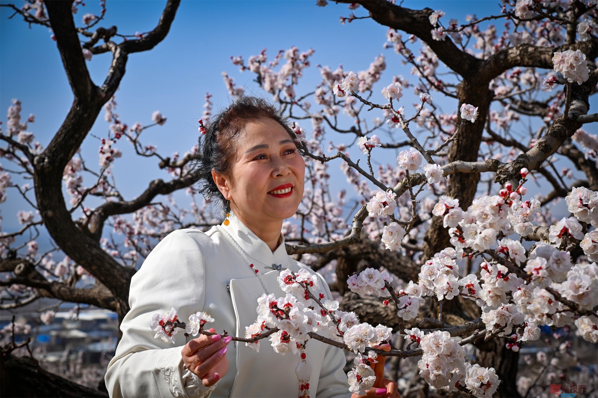 肖宝清压缩_20250322153008 (6).jpg