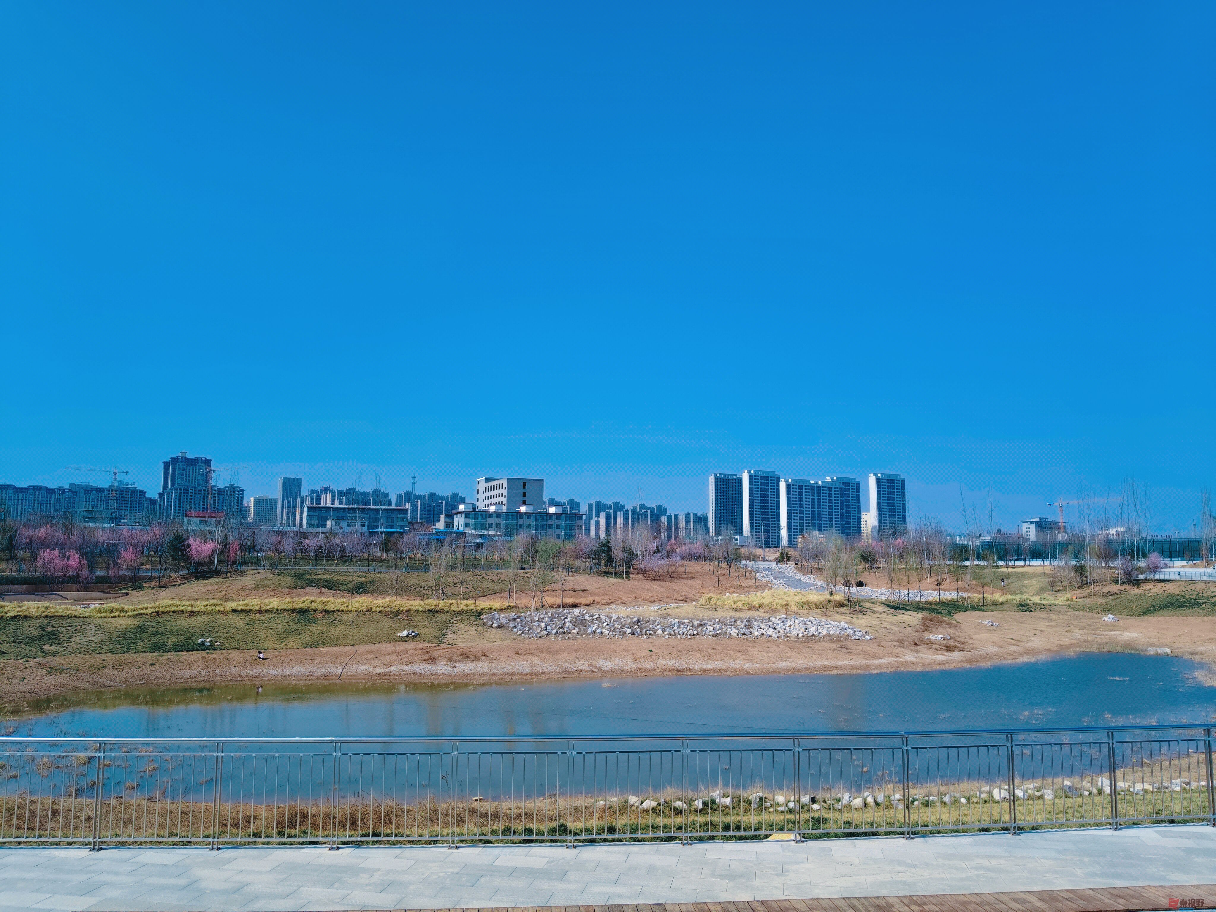 吕卫东_20250323193236 (3).jpg