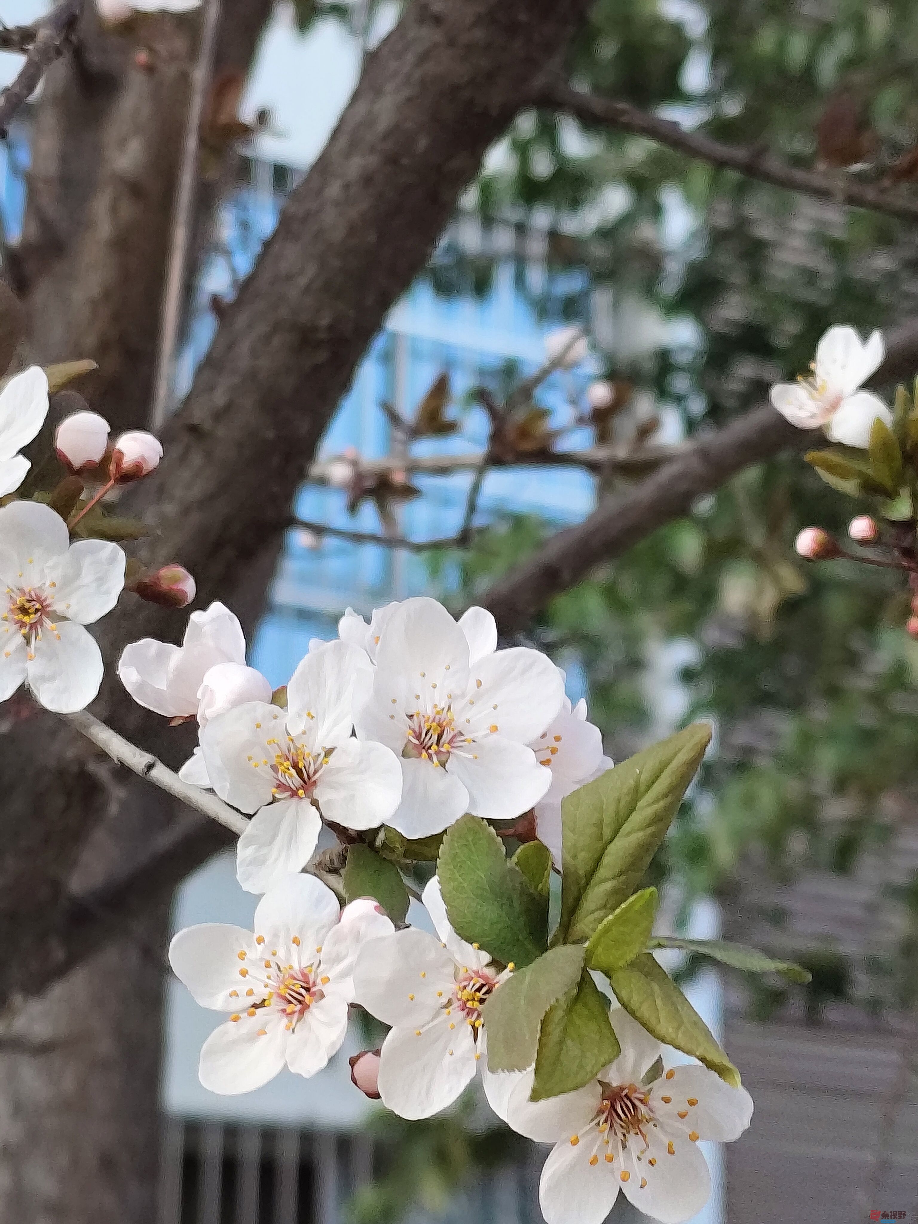 吕卫东_20250325221454 (11).jpg