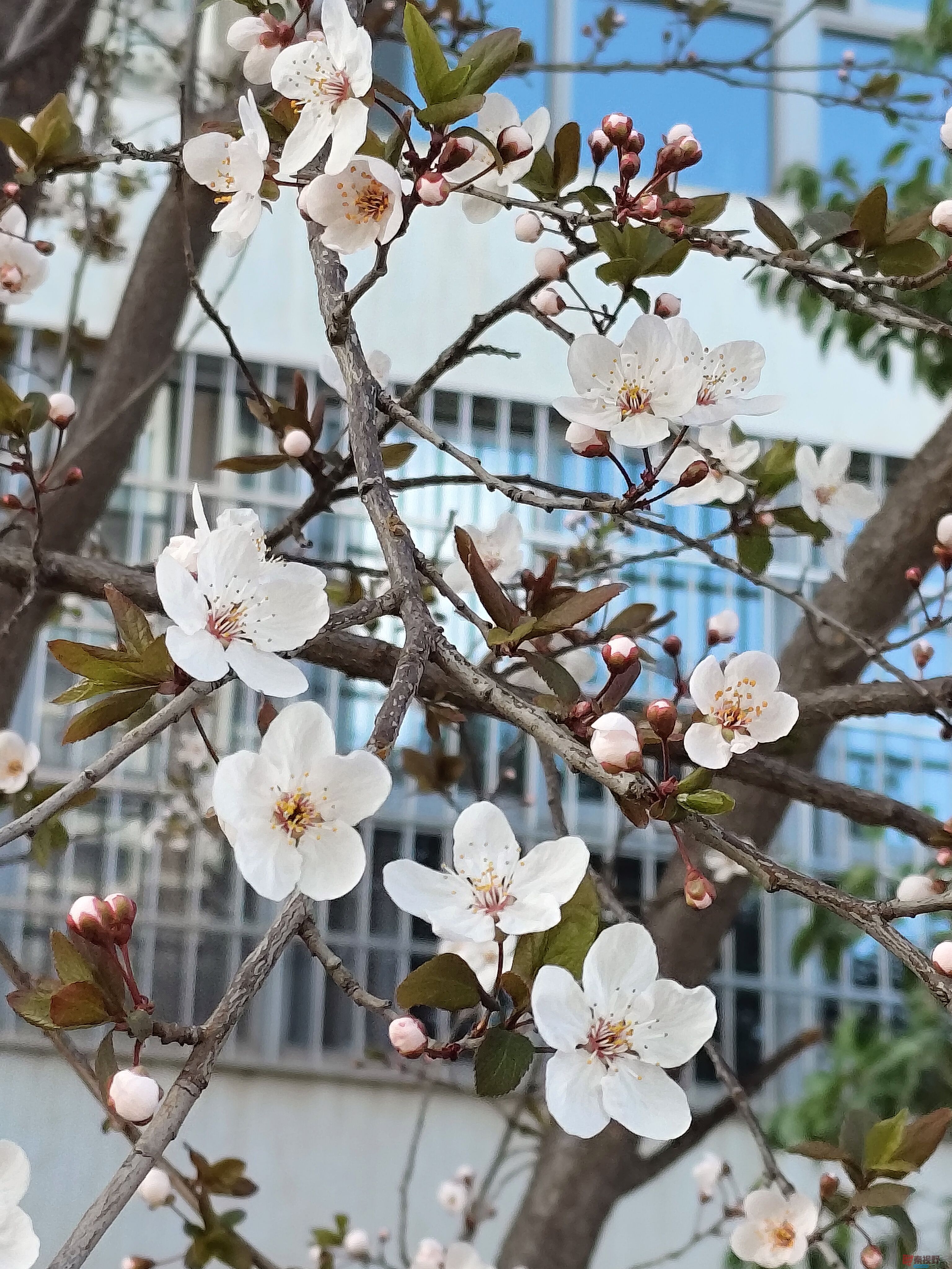 吕卫东_20250325221454 (14).jpg