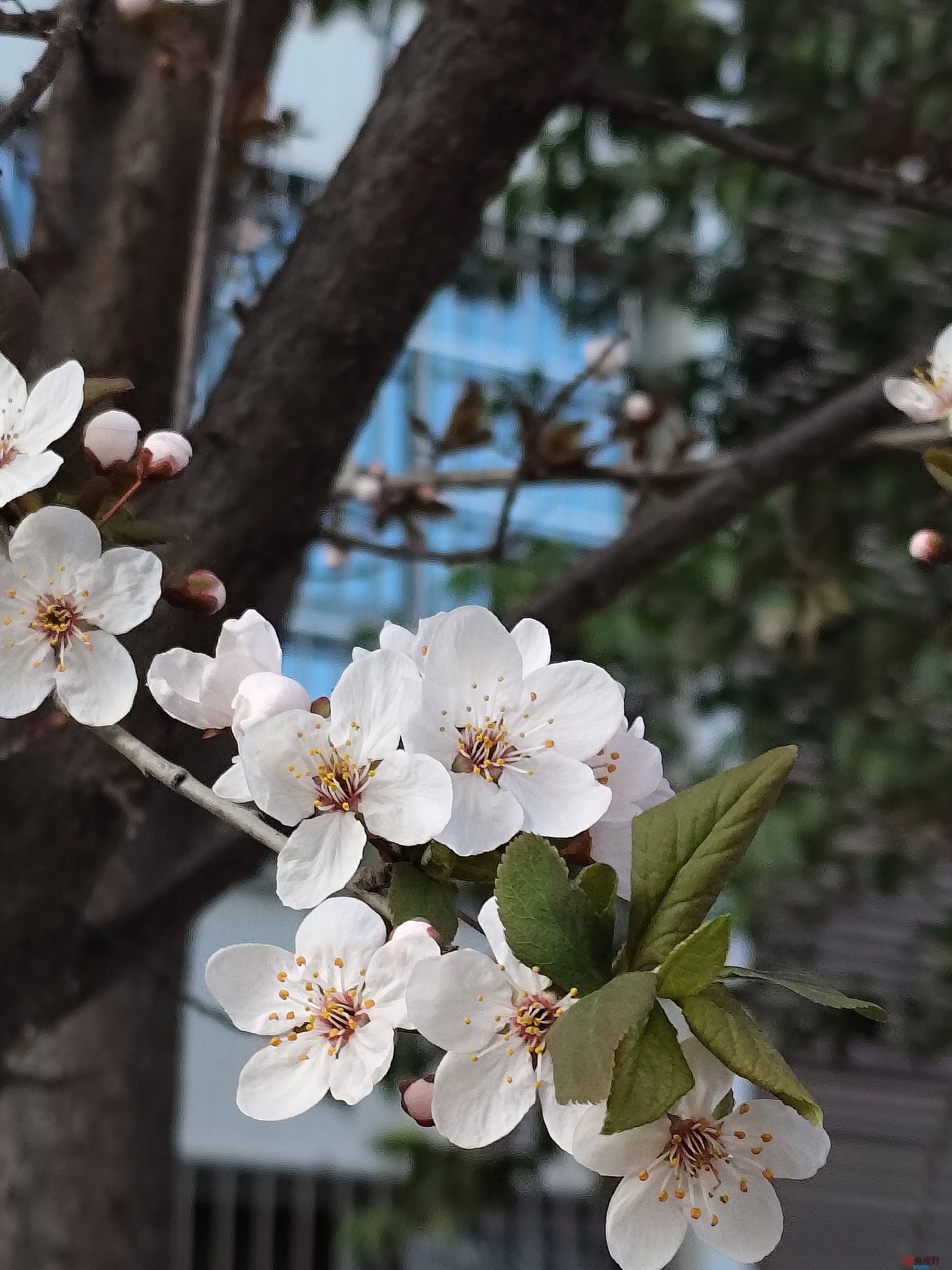 吕卫东_20250325221454 (15).jpg