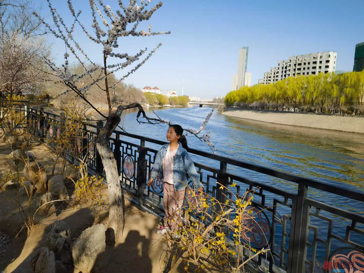 马世国_20250328082146 (9).jpg