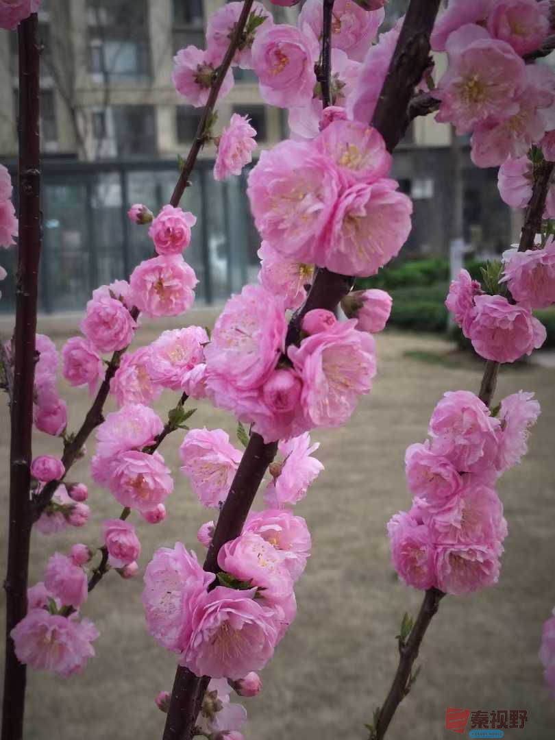 吕卫东_20250328082036 (4).jpg