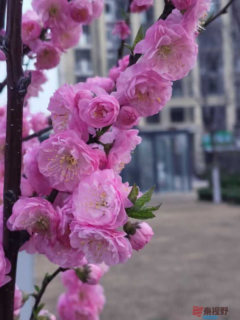 吕卫东_20250328082036 (3).jpg
