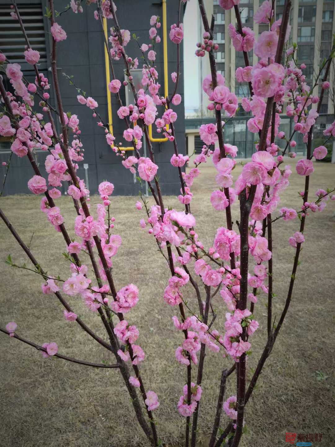 吕卫东_20250328082036 (6).jpg