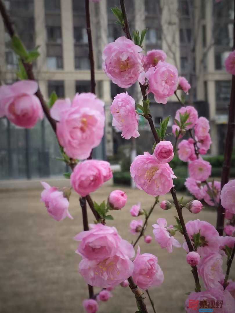 吕卫东_20250328082036 (5).jpg