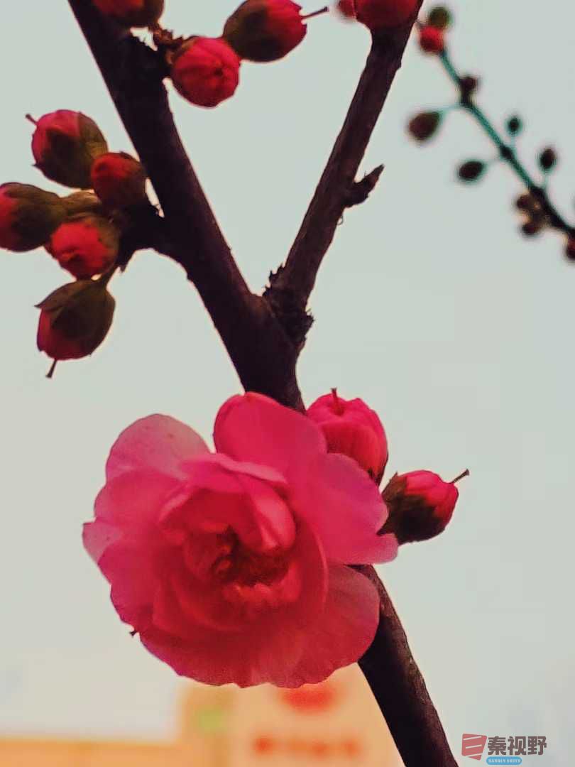 吕卫东_20250328082407.jpg
