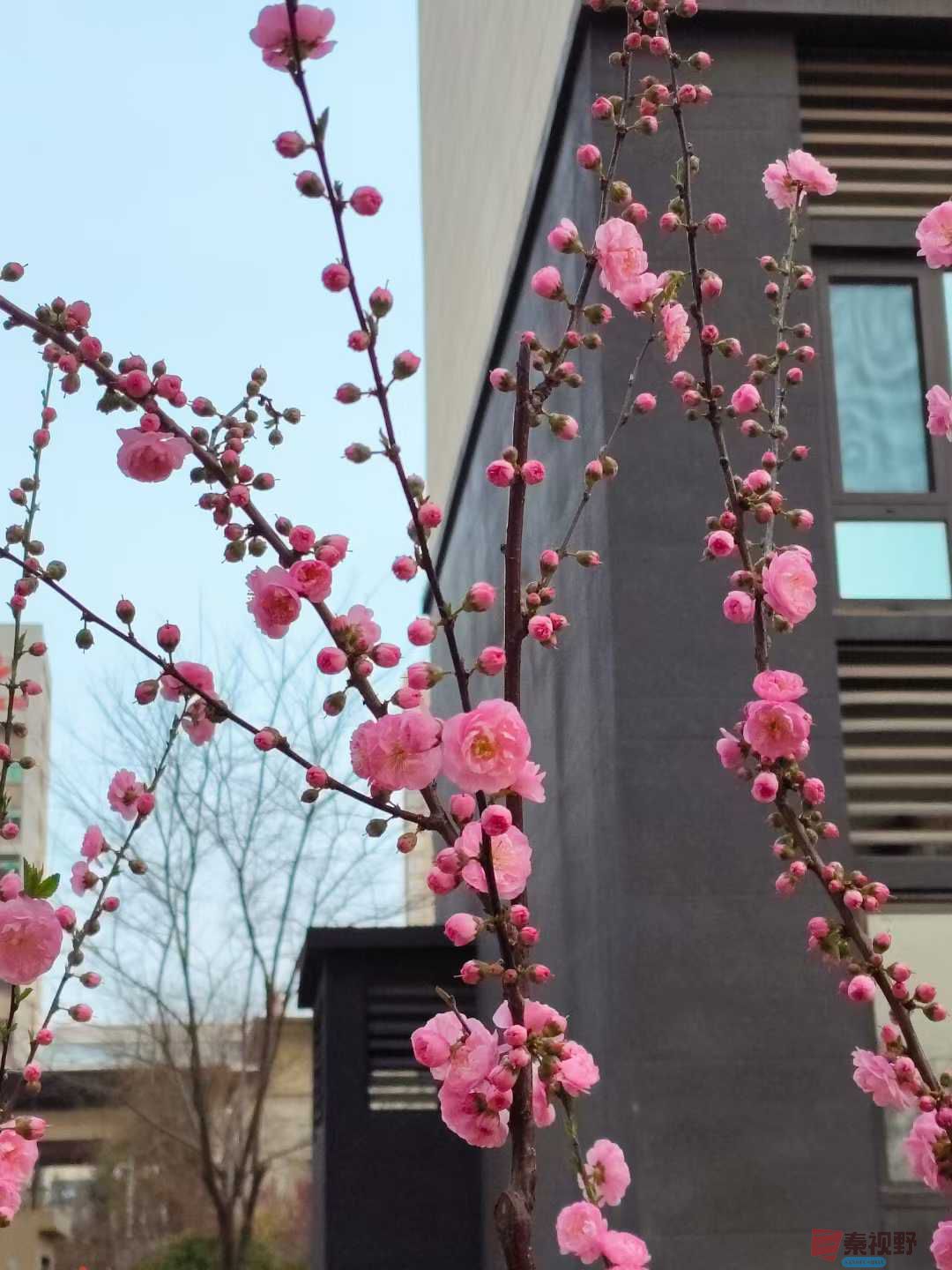 吕卫东_20250328082036 (8).jpg
