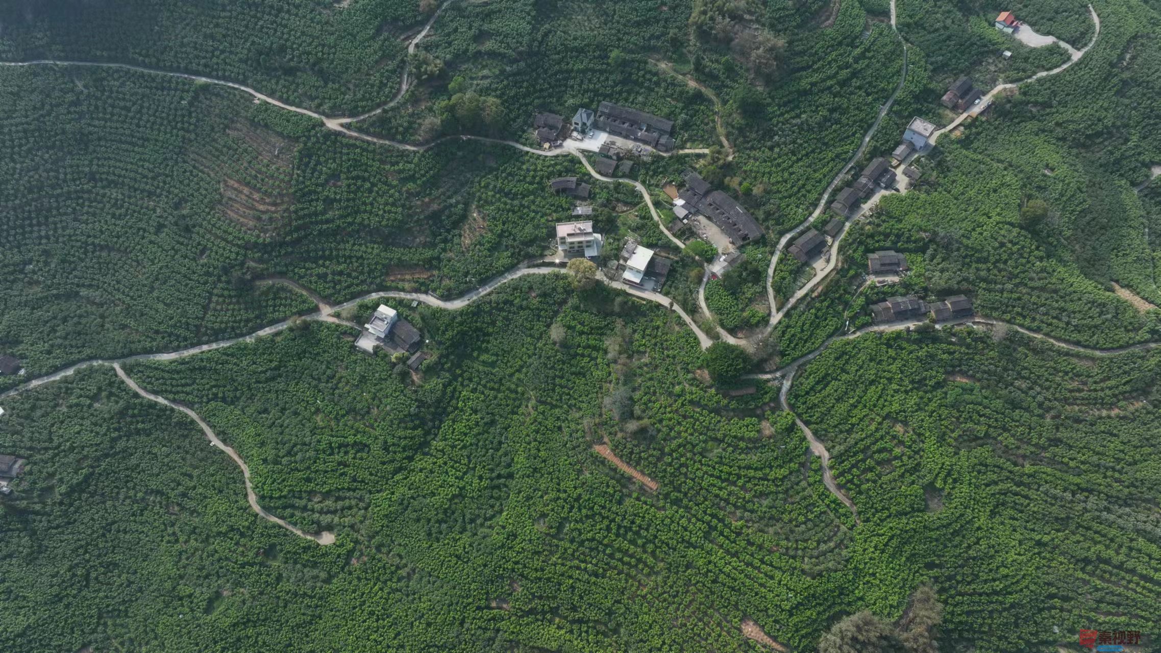张宝光_20250327222337 (11).jpg