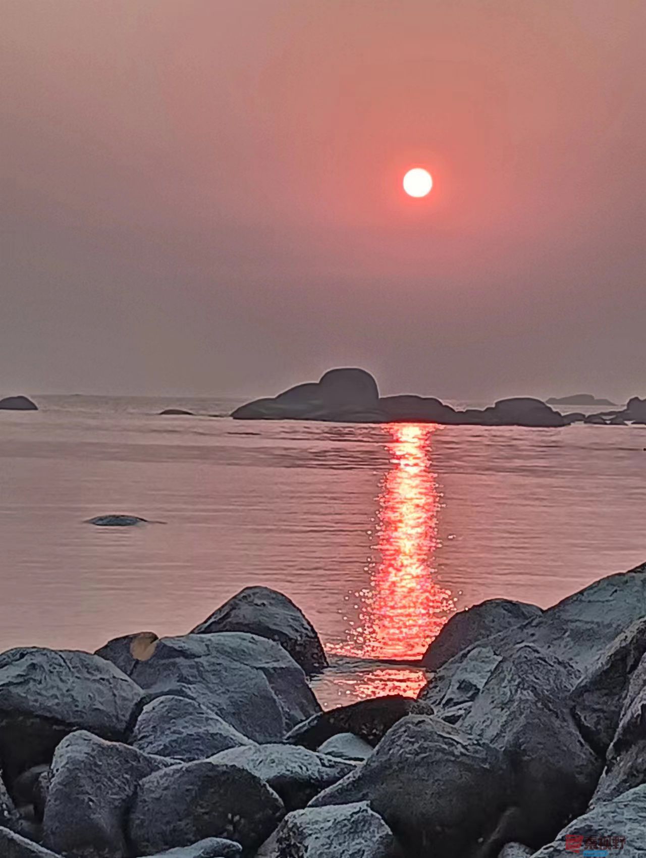 张宝光_20250327222933 (5).jpg