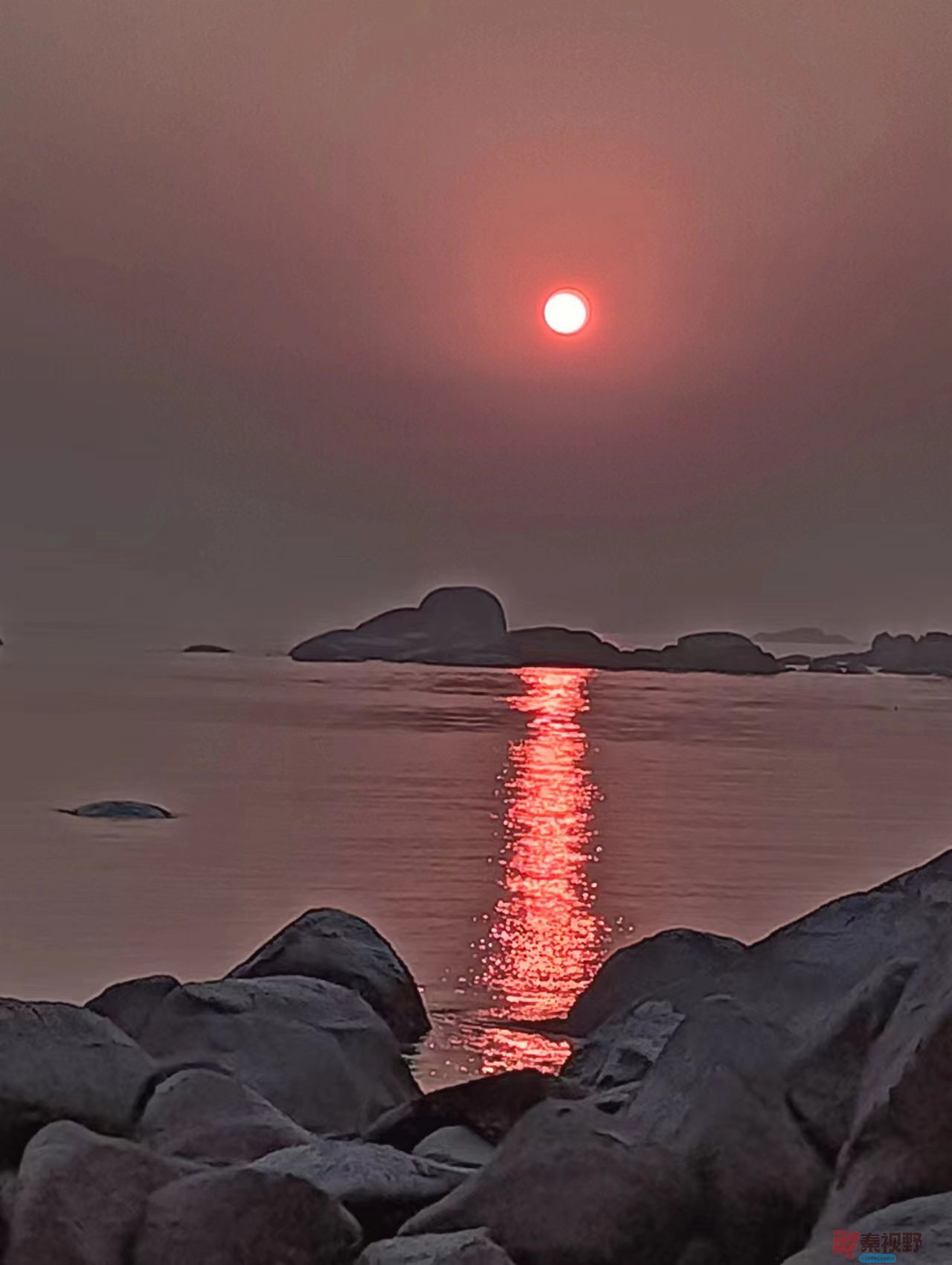 张宝光_20250327222933 (4).jpg