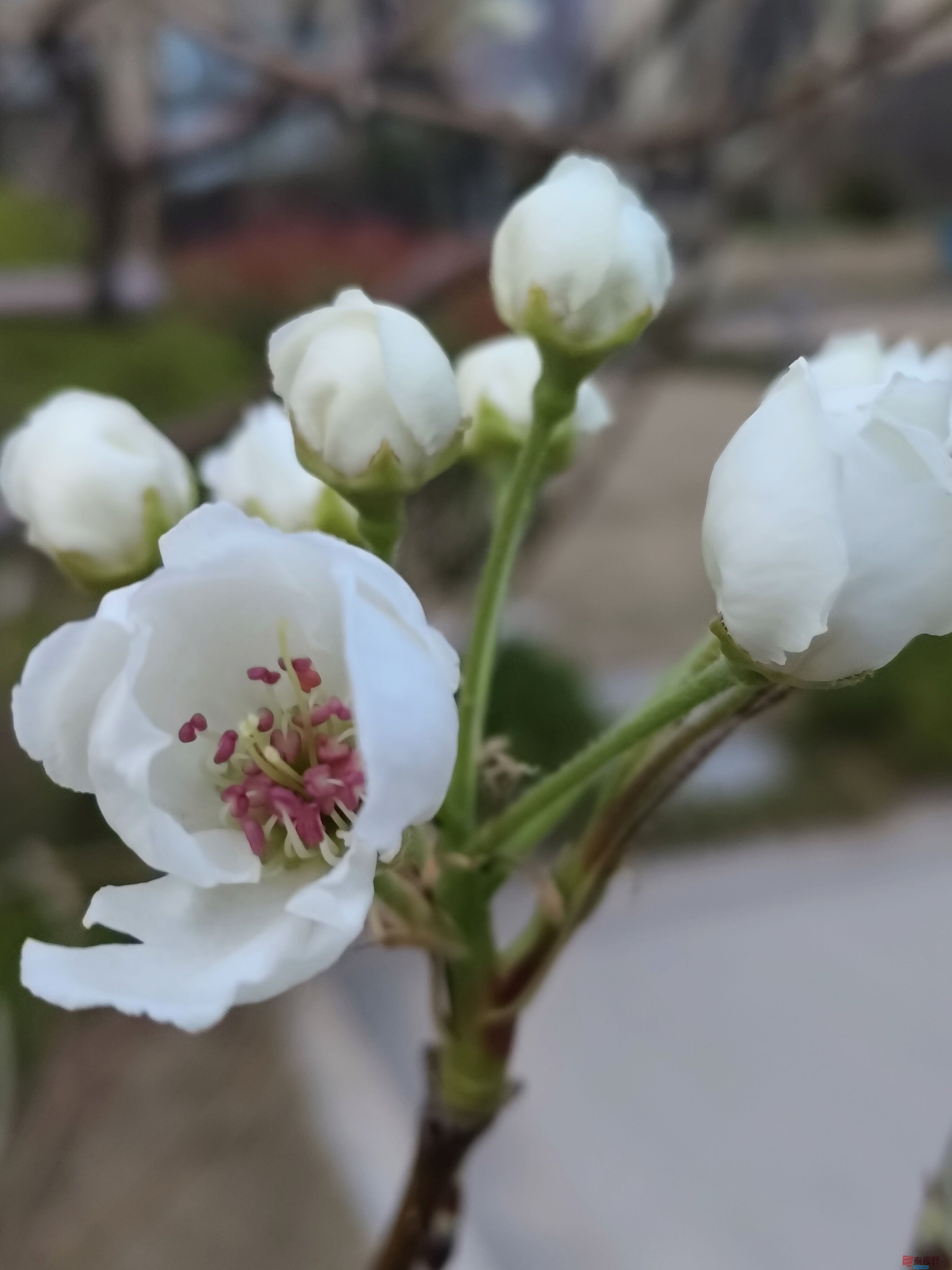 吕卫东_20250328195543 (12).jpg