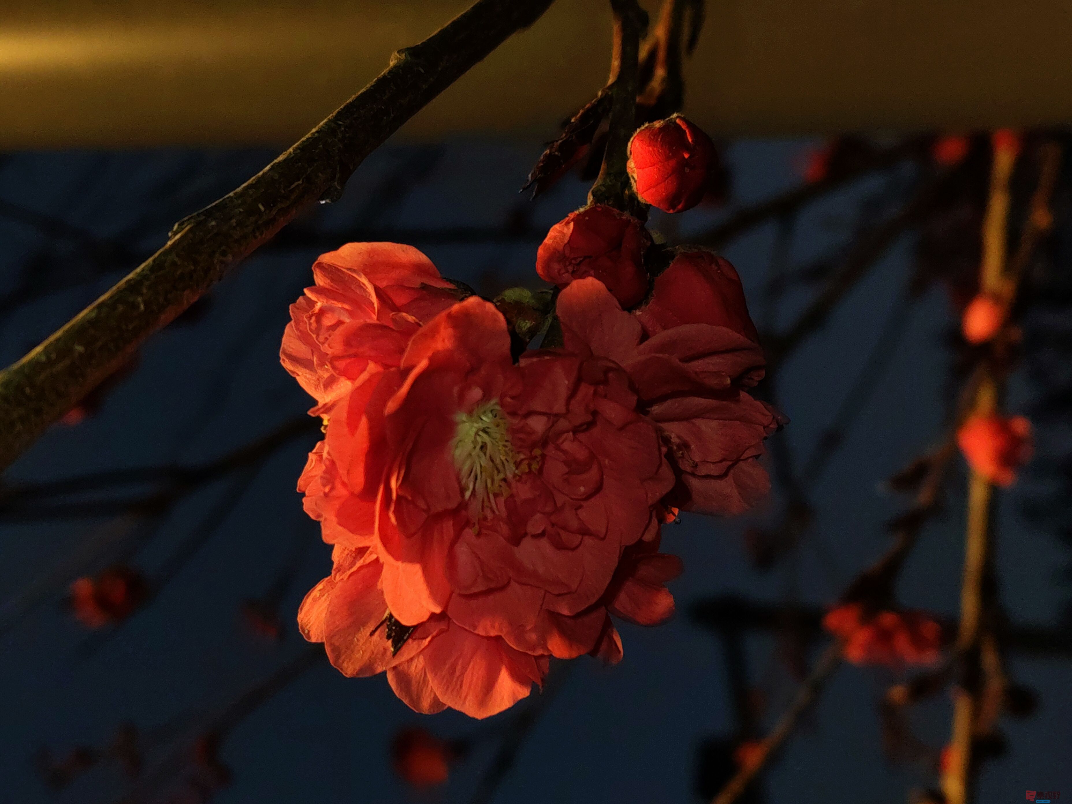 吕卫东_20250328195543 (14).jpg