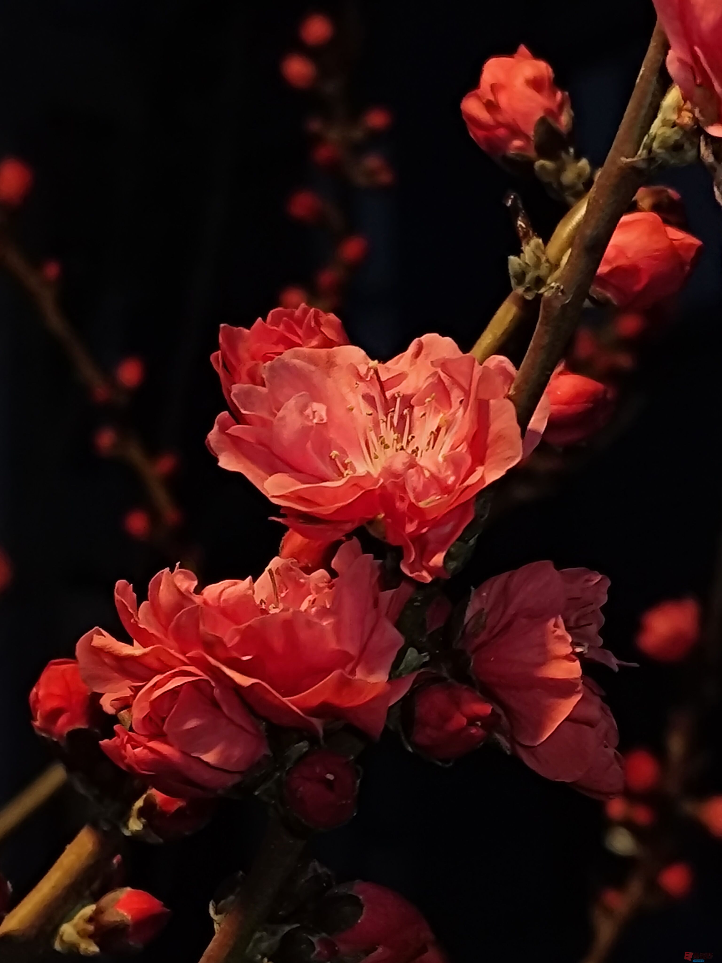 吕卫东_20250328195543 (15).jpg