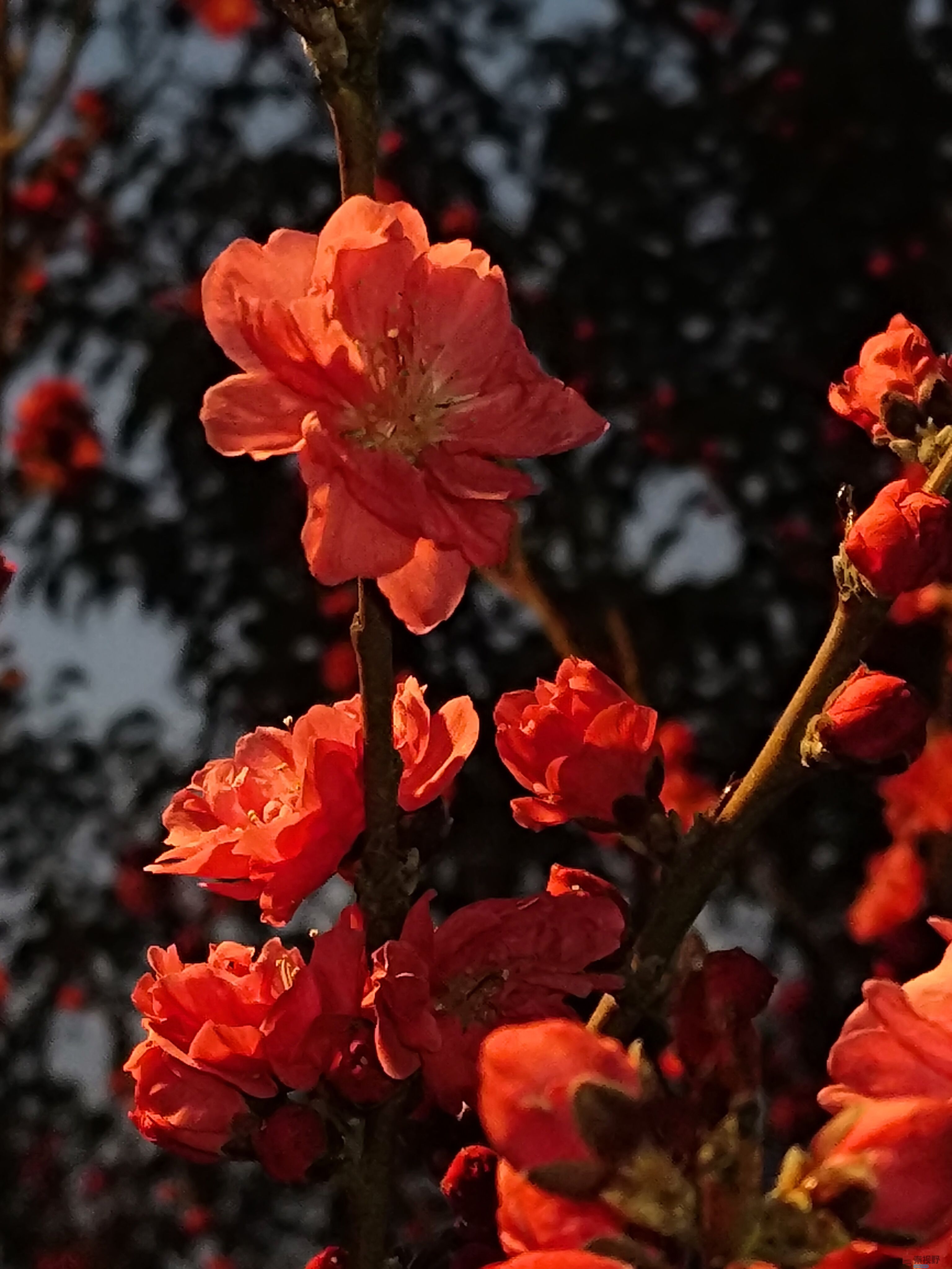 吕卫东_20250328195543 (16).jpg