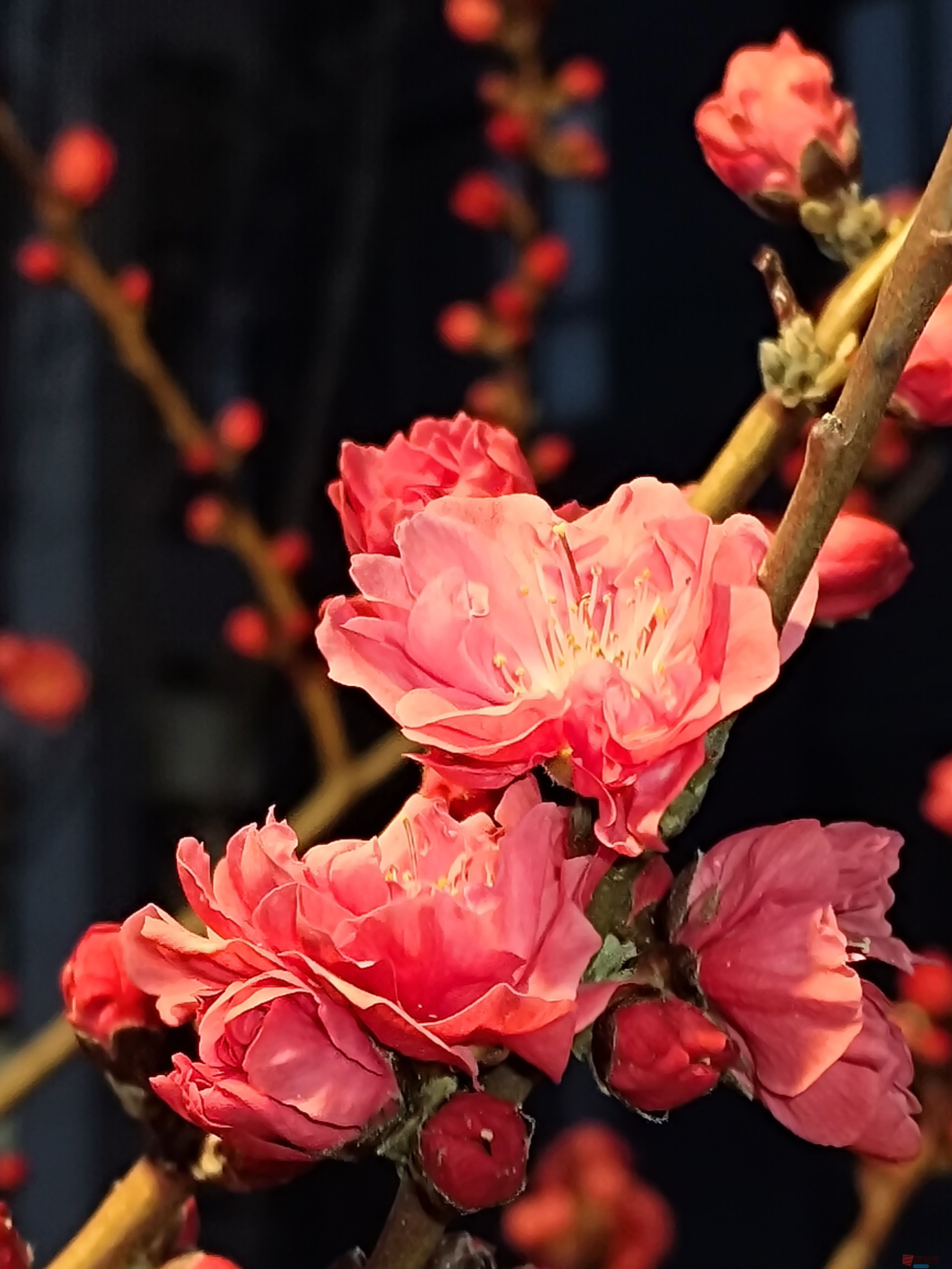 吕卫东_20250328195543 (17).jpg