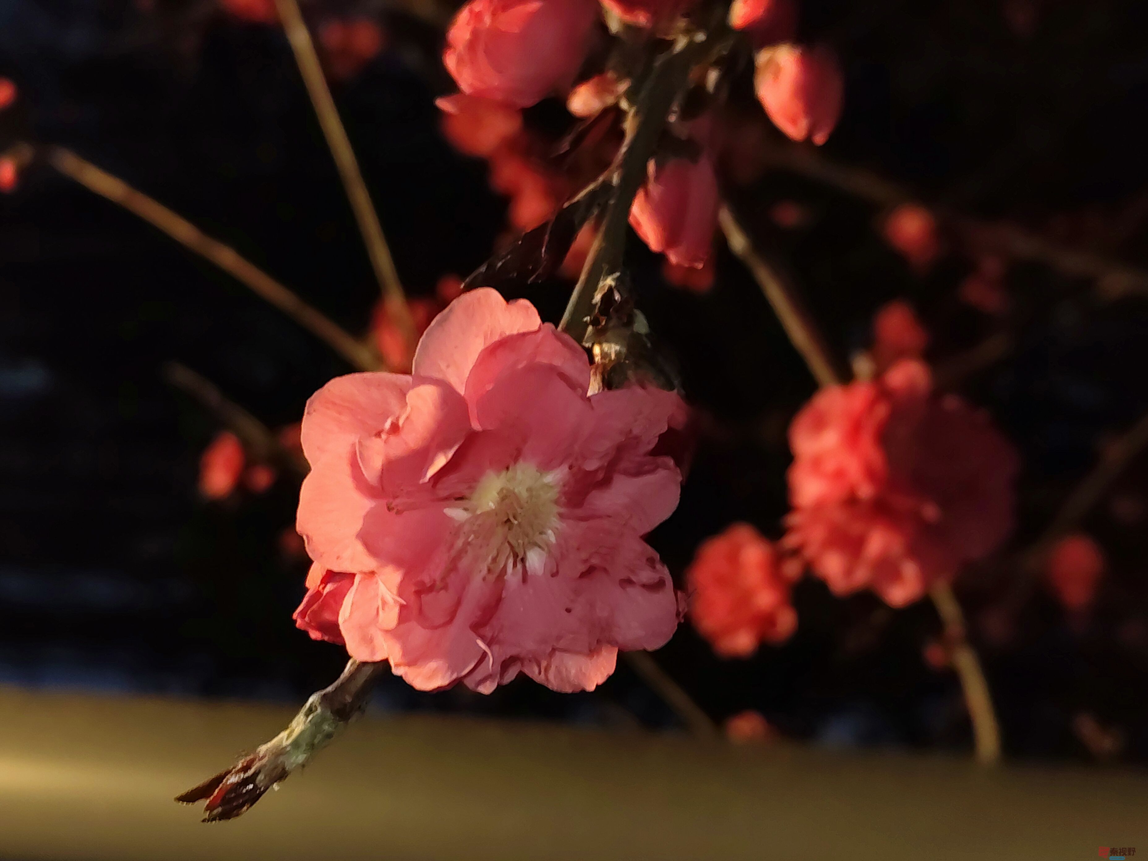 吕卫东_20250328195543 (19).jpg