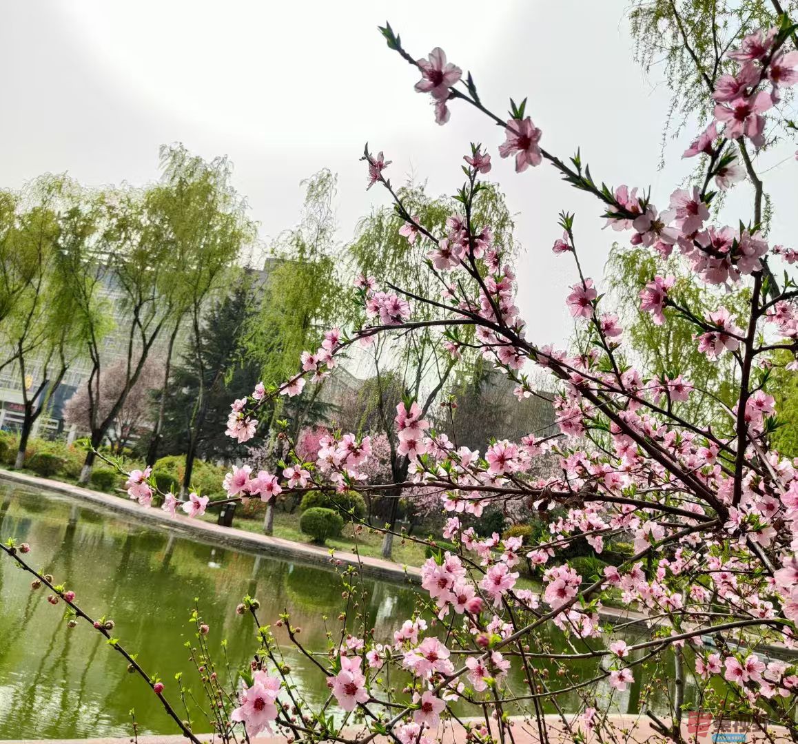 化校_20250329123233 (3).jpg