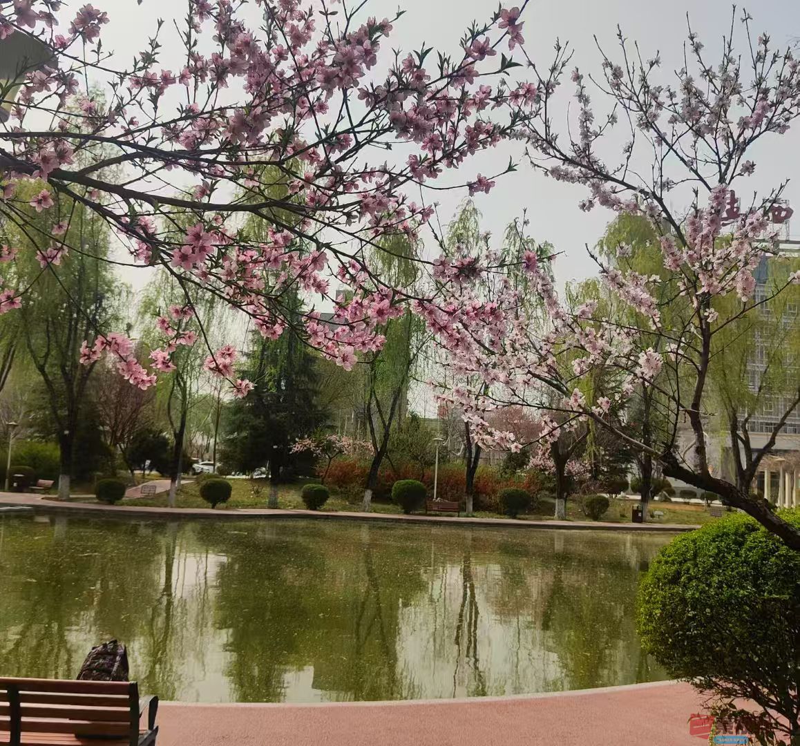 化校_20250329123233 (9).jpg
