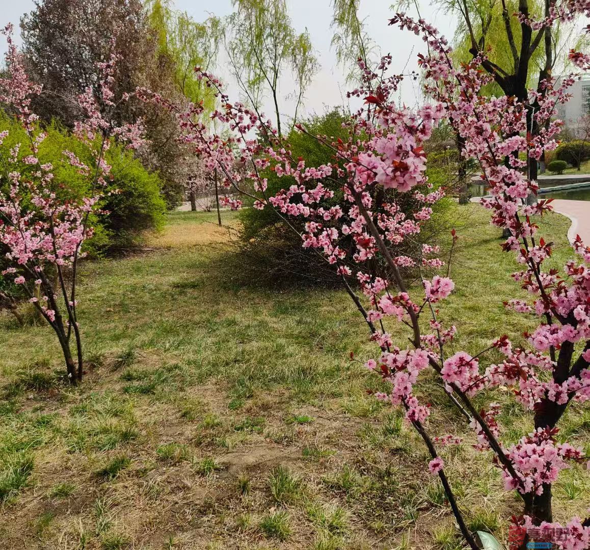 化校_20250329123233 (11).jpg