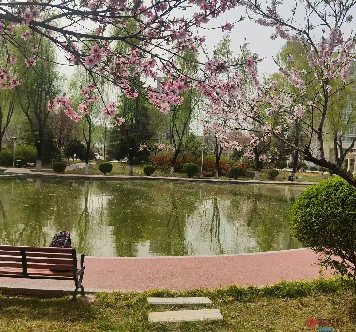 化校_20250329123233 (13).jpg