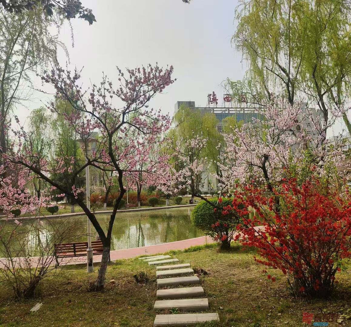化校_20250329123233 (15).jpg