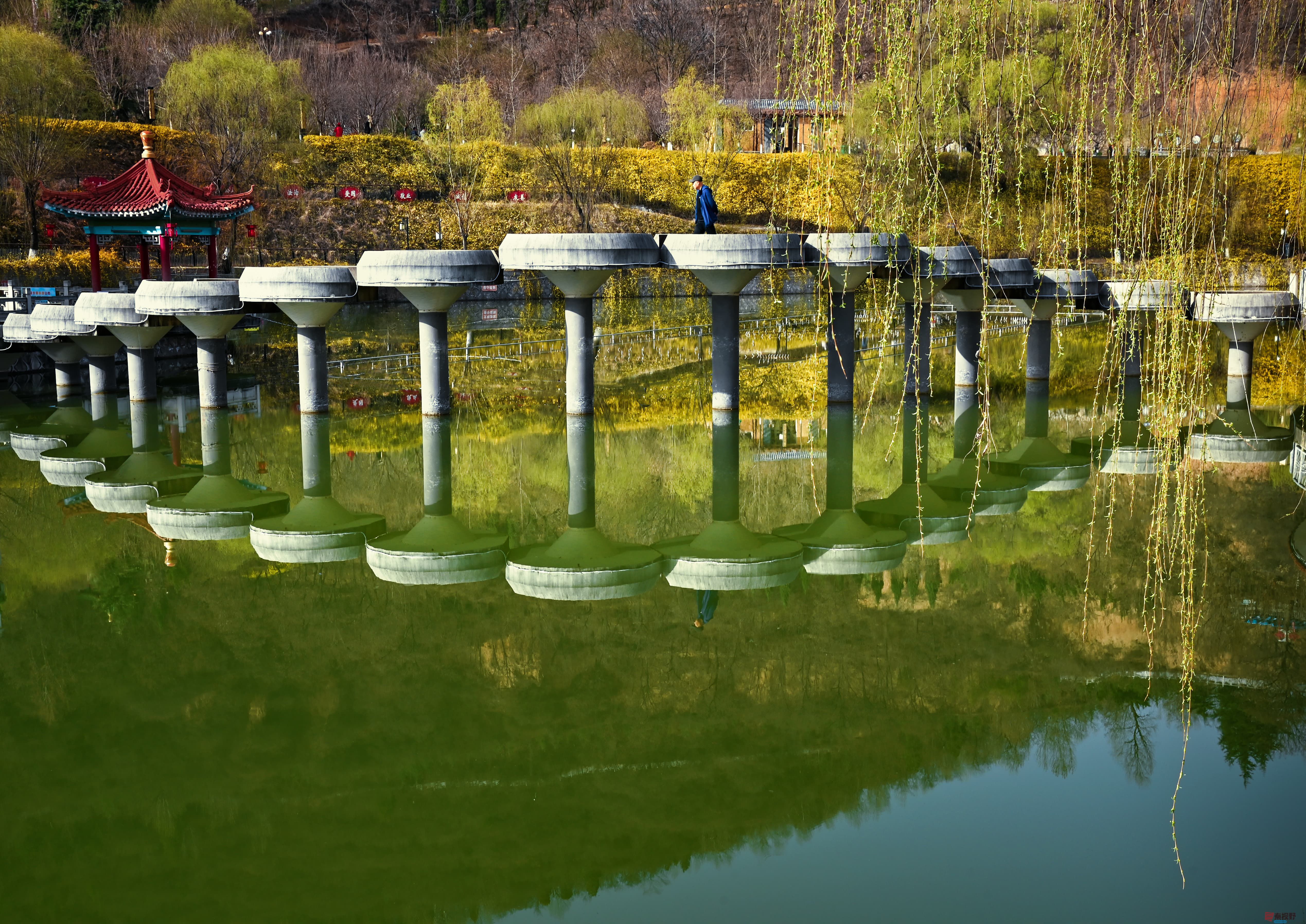 肖宝清压缩_20250327222513 (4).jpg