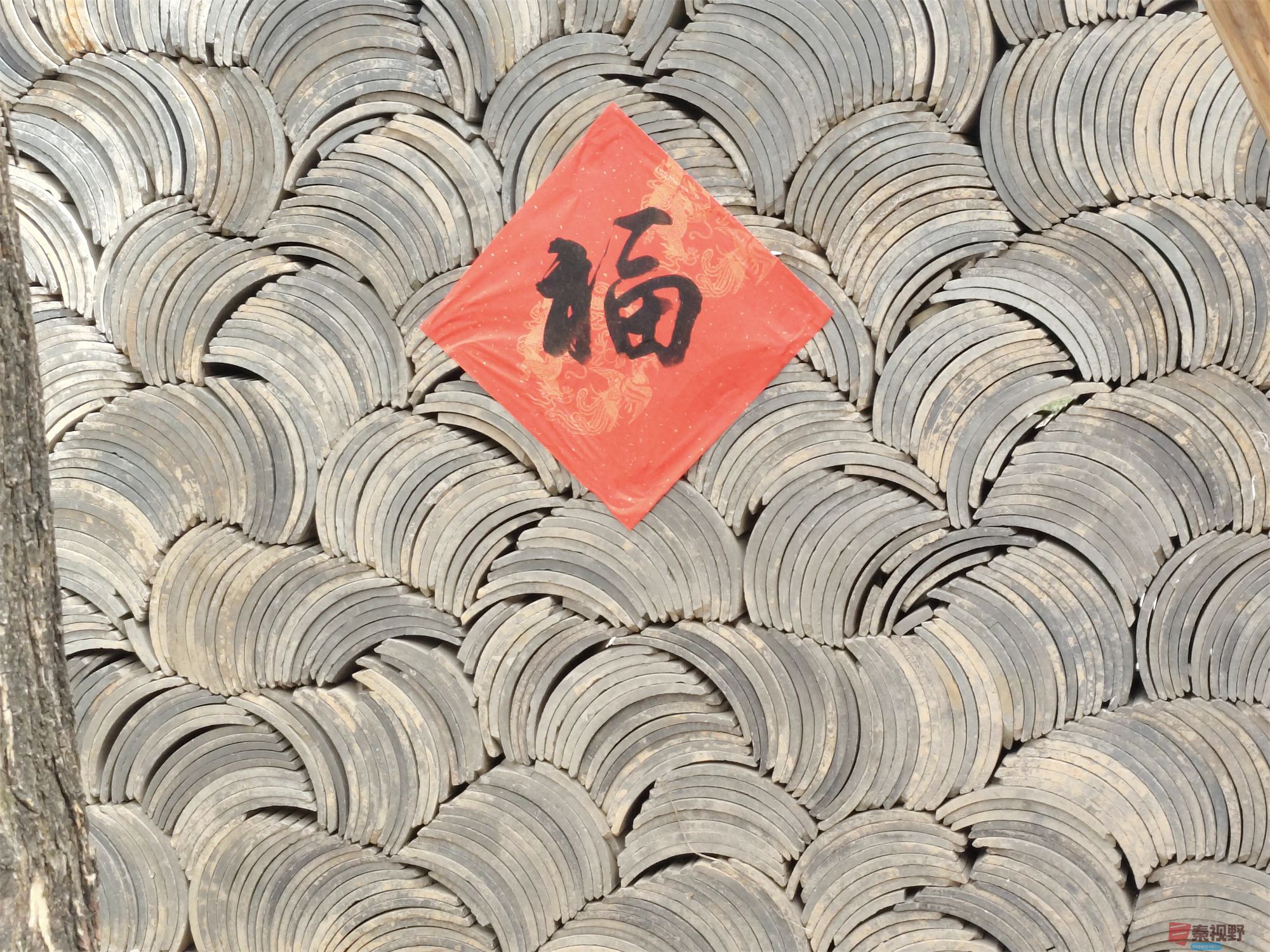 吕卫东压缩_20250329150525 (8).jpg
