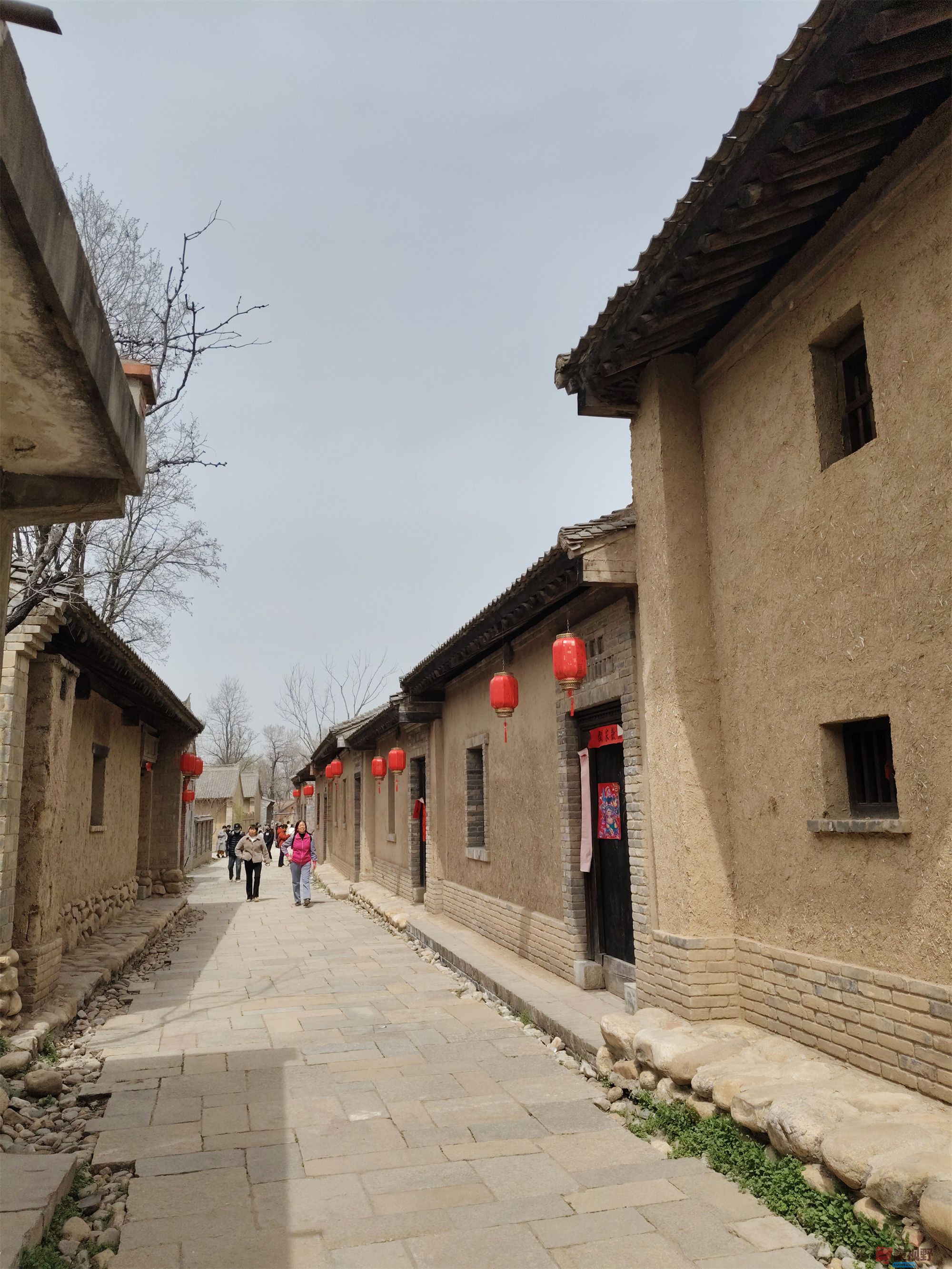 吕卫东压缩_20250329150525 (11).jpg