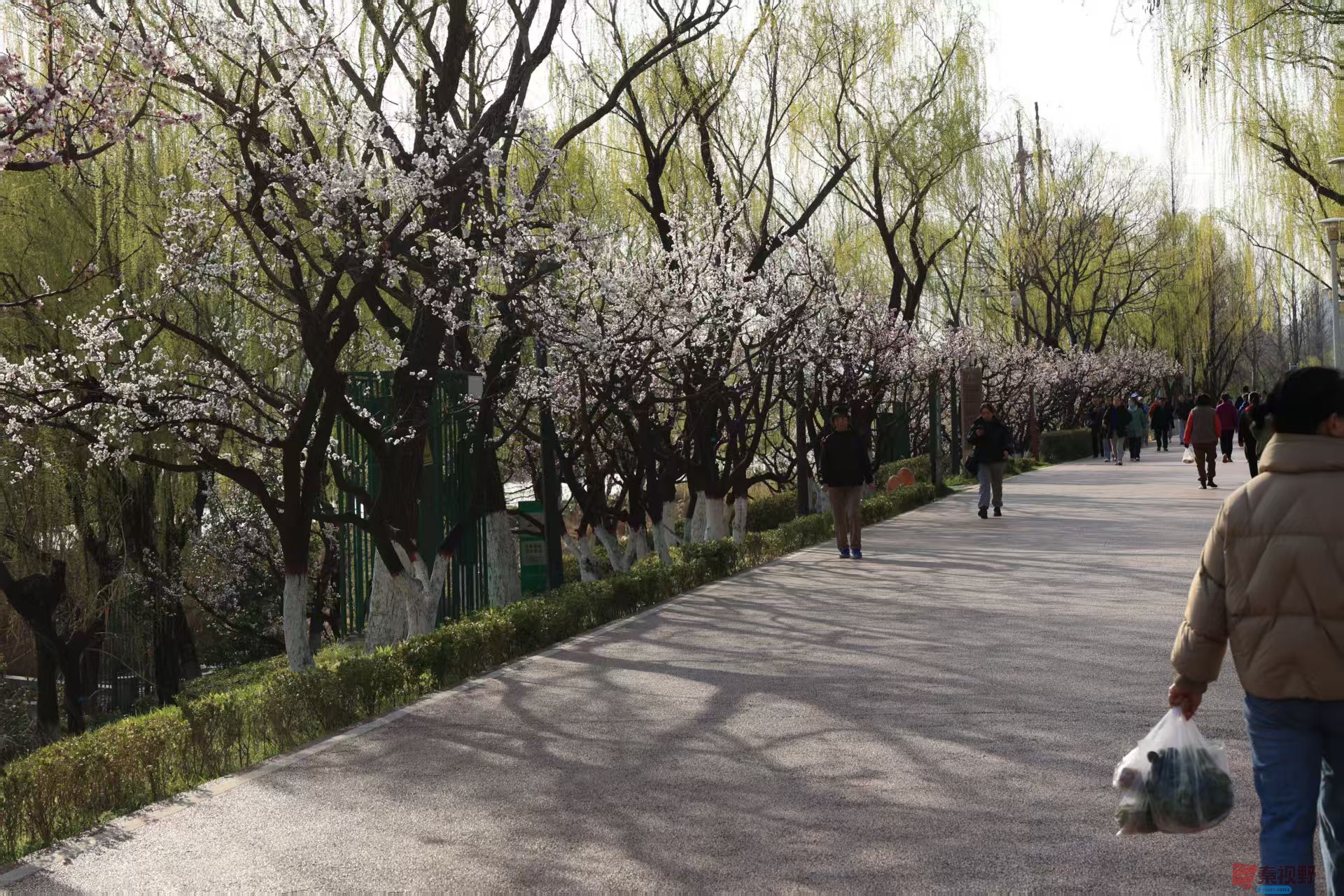宋宝文_20250329172203 (2).jpg