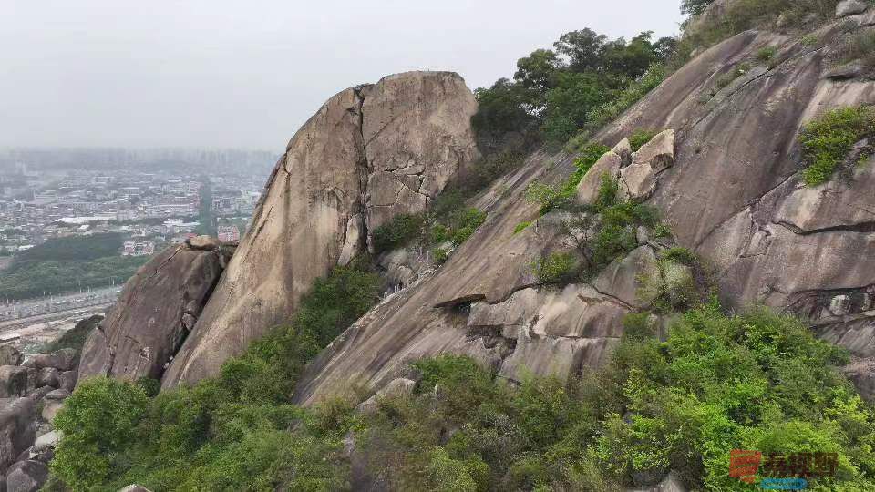张宝光_20250329172304 (2).jpg
