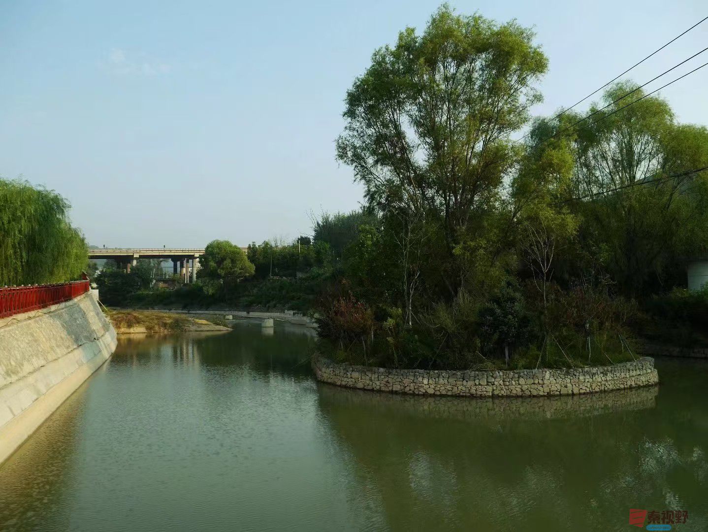王彦娣_20250330185947 (4).jpg
