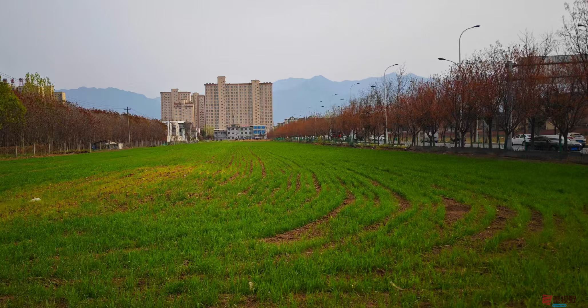 微信图片_20250401091645.jpg