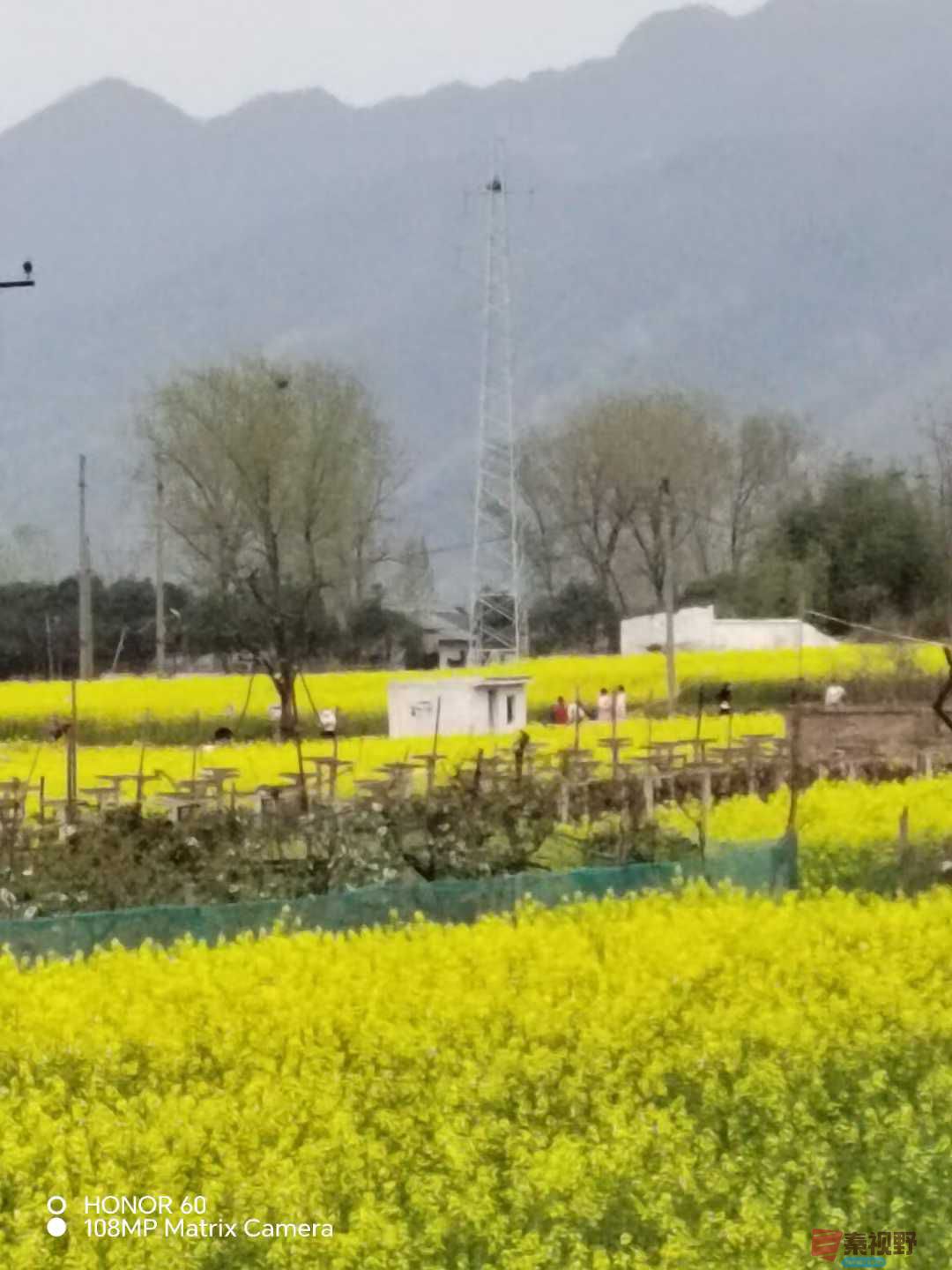 微信图片_20250401100700.jpg