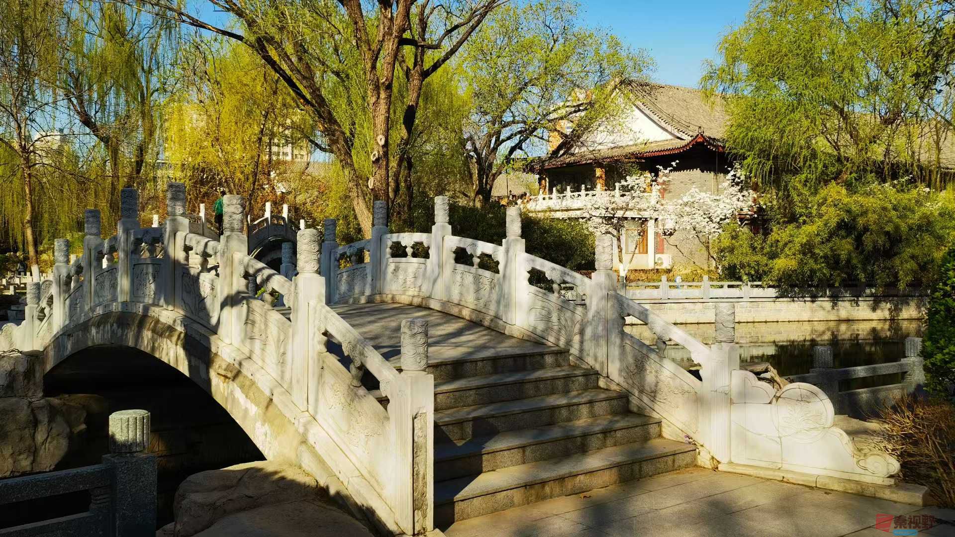 马世国_20250401104126 (2).jpg