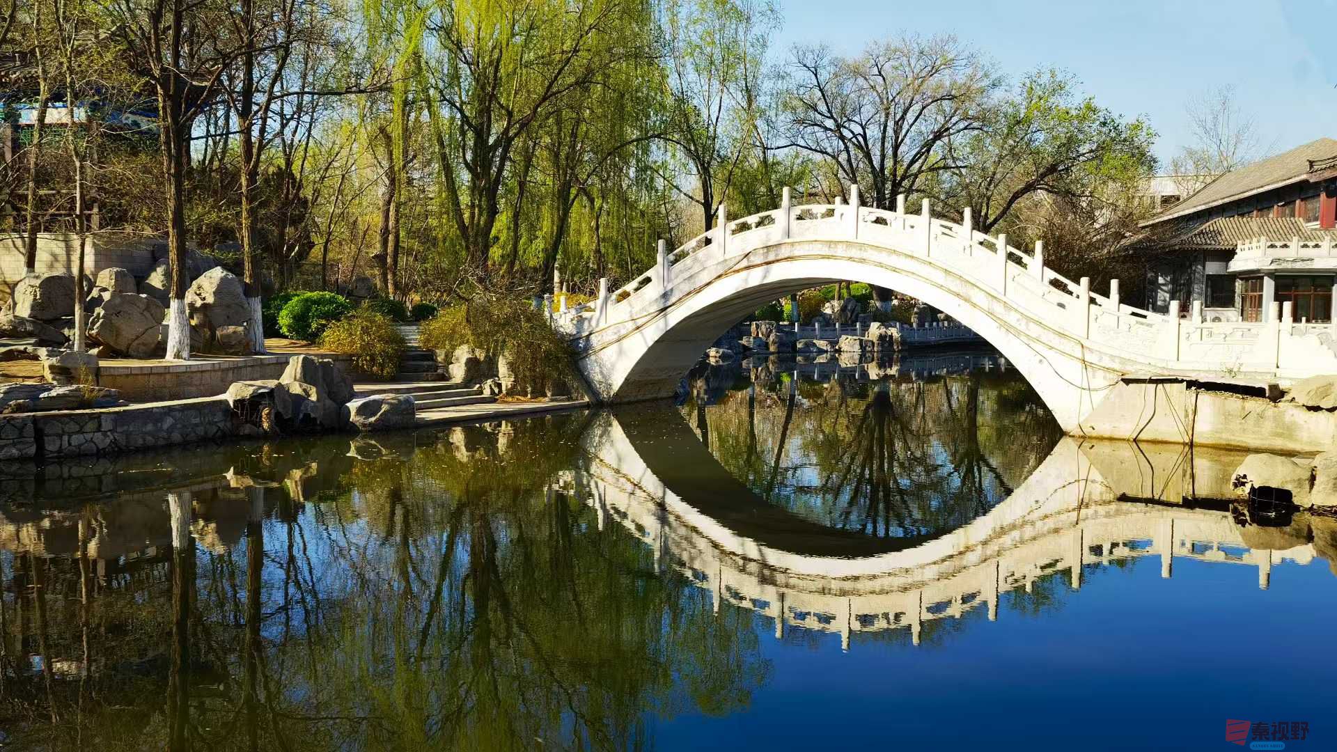 马世国_20250401104126 (1).jpg