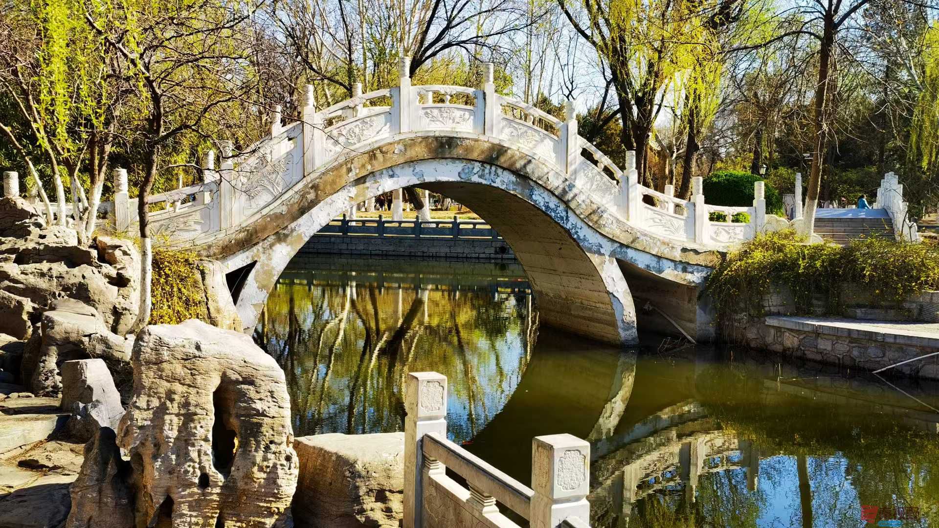 马世国_20250401104126 (6).jpg